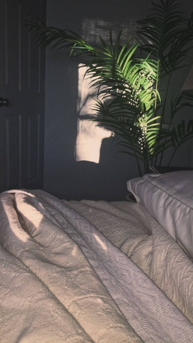 soft sunlight, warm glow, rumpled bed, HD Phone Wallpaper