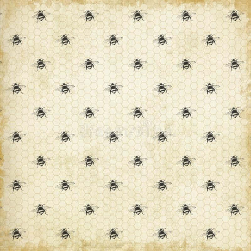 vintage bee, beige, black bee silhouettes, SD Desktop Wallpaper