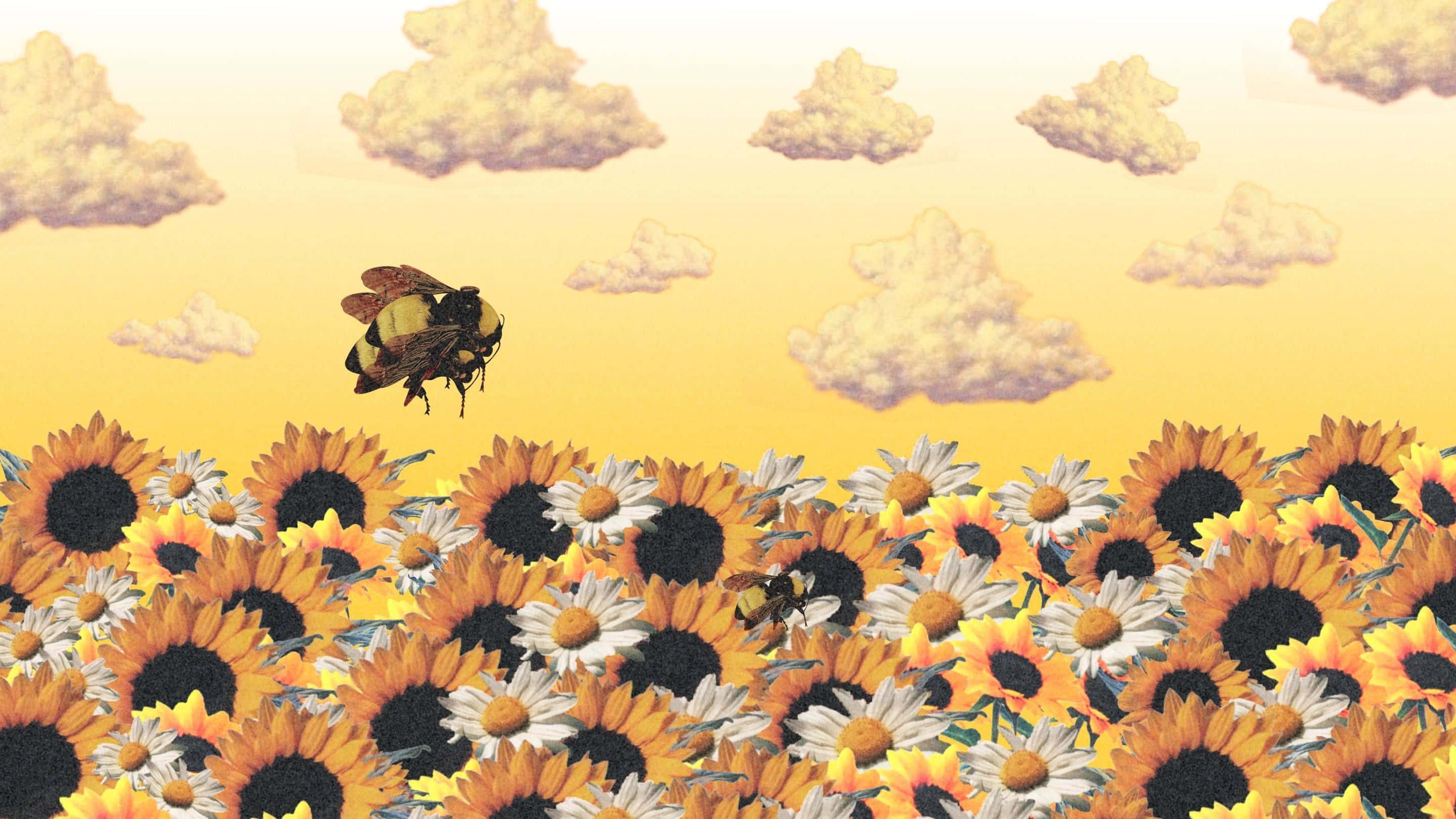 Aesthetic Bee, bumblebee, sunflowers, 2K Desktop Wallpaper
