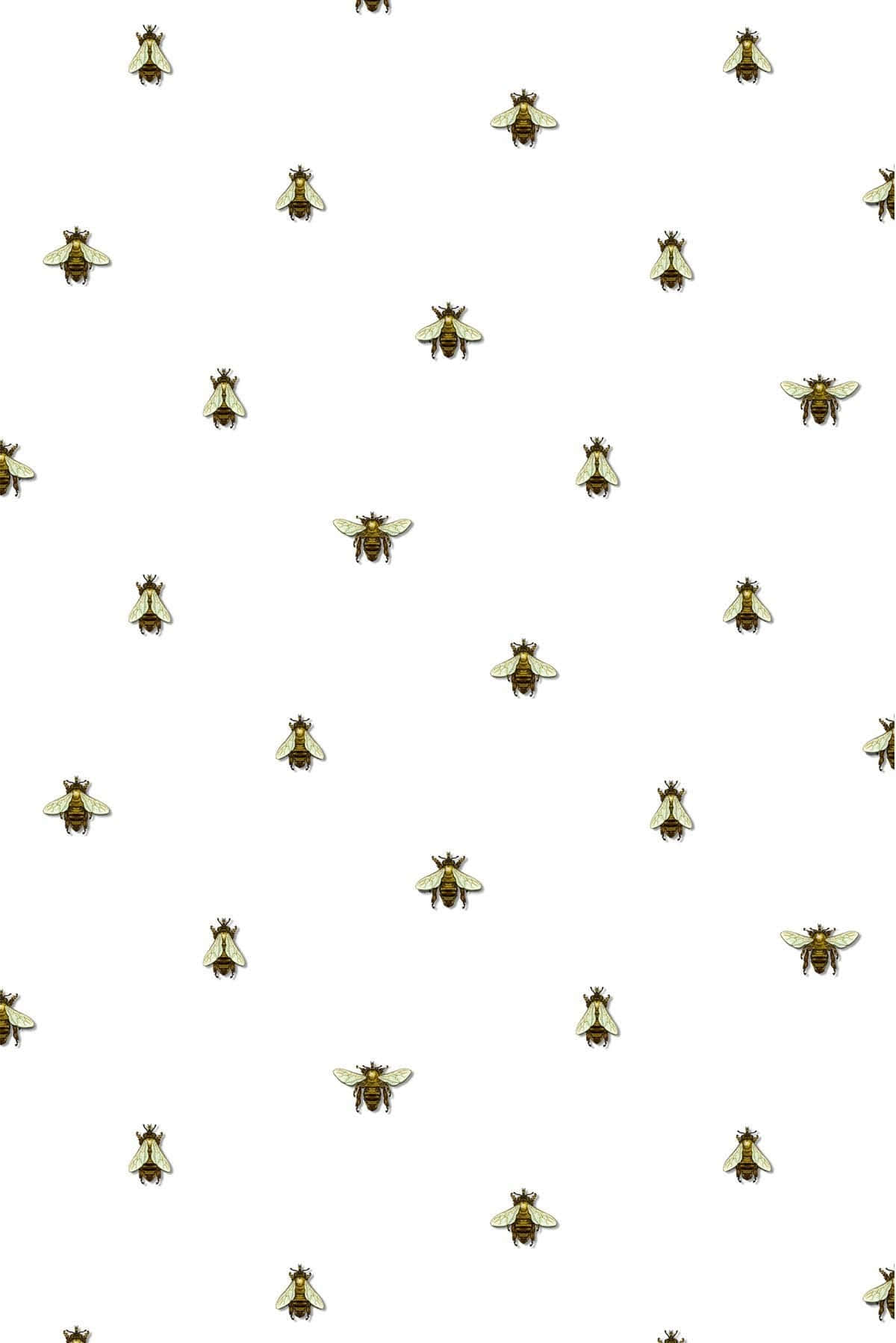 Aesthetic Bee, golden bees, clean white background, HD Phone Wallpaper