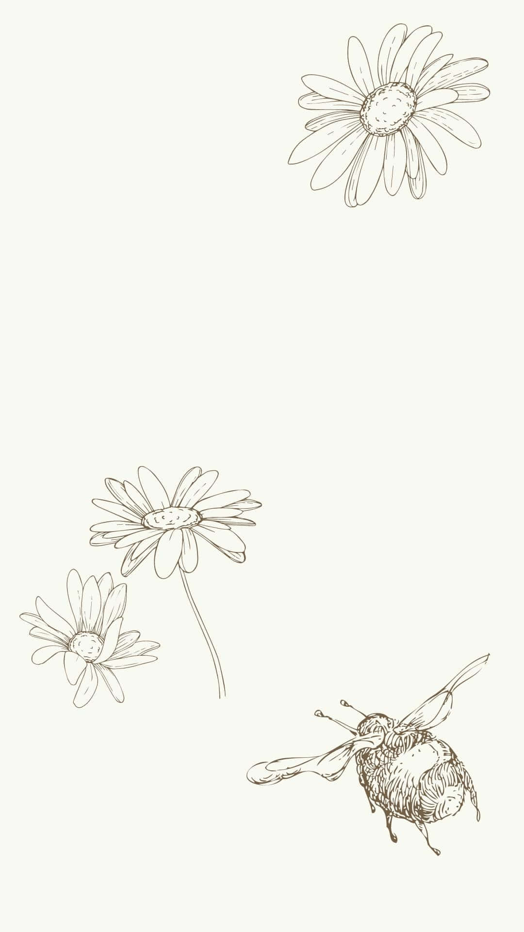 Aesthetic Bee, daisies, bee, Full HD Phone Wallpaper