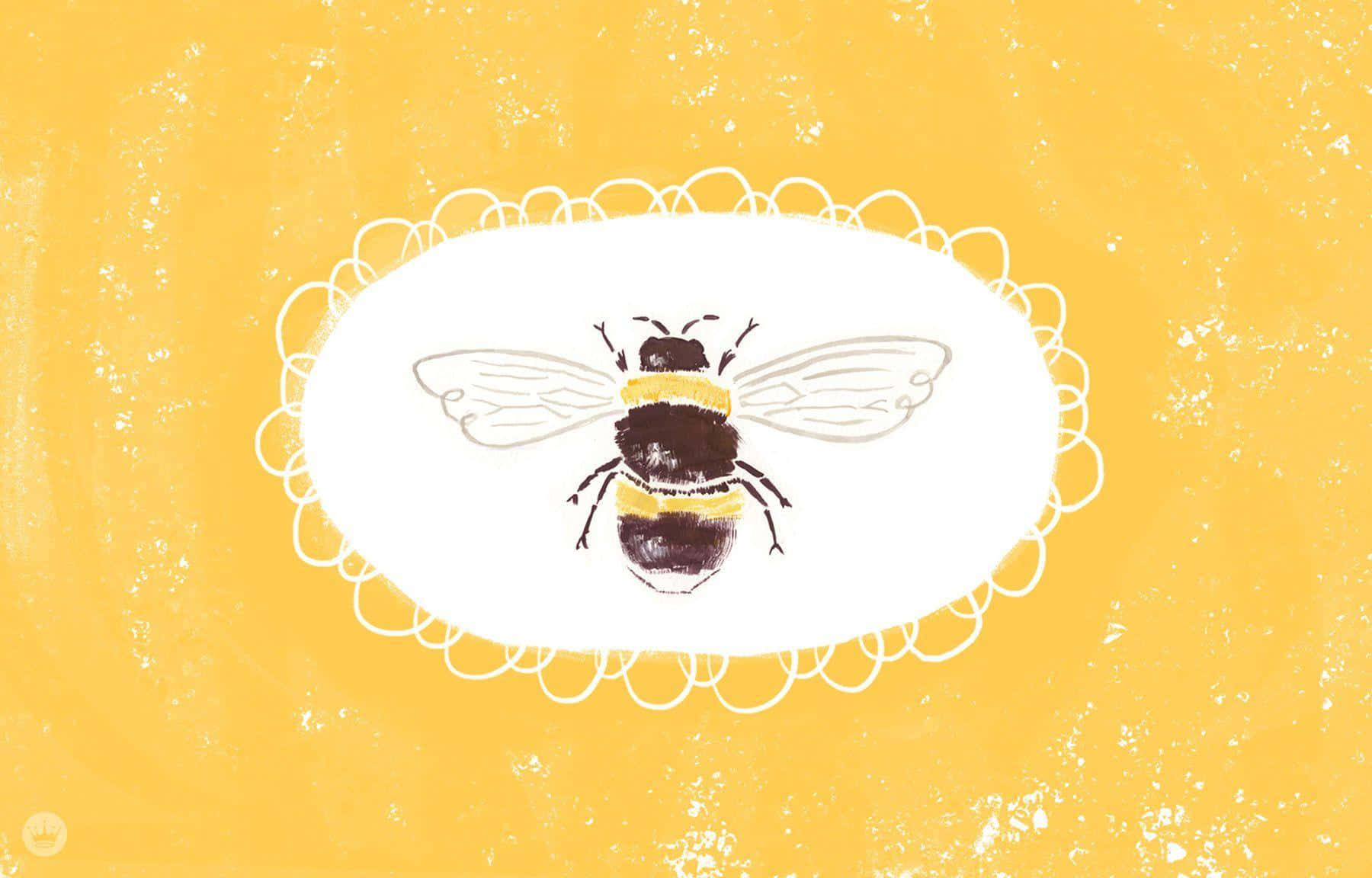 Aesthetic Bee, bumblebee, black and yellow stripes, HD Desktop Wallpaper