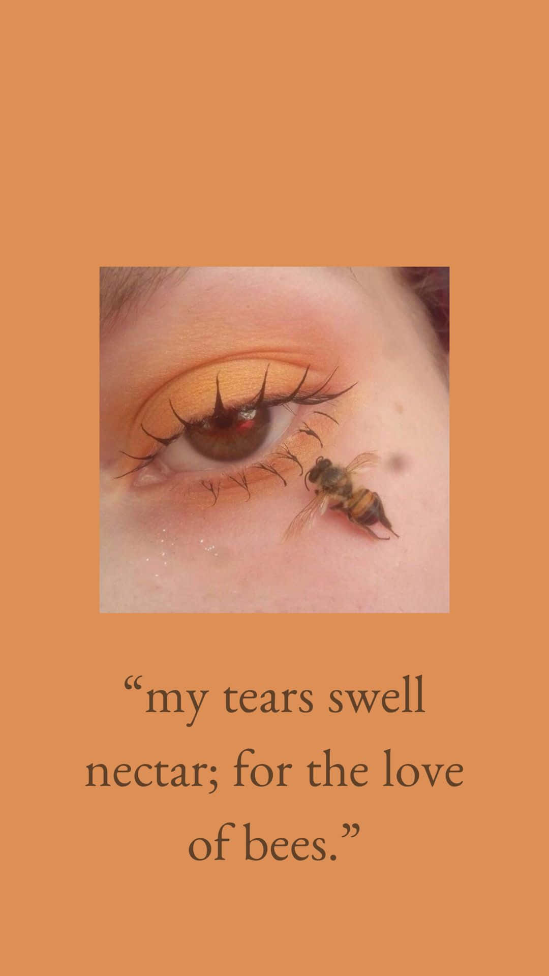 Aesthetic Bee, bee, human eye, Full HD Phone Wallpaper