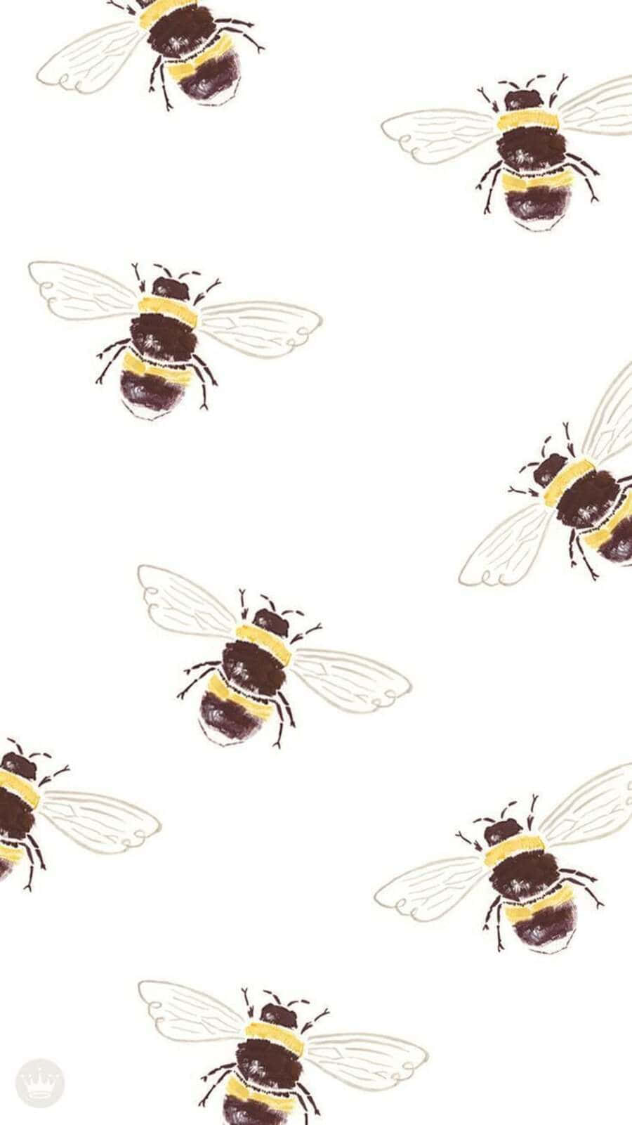 Aesthetic Bee, black and yellow stripes, stylized bees, HD Phone Wallpaper