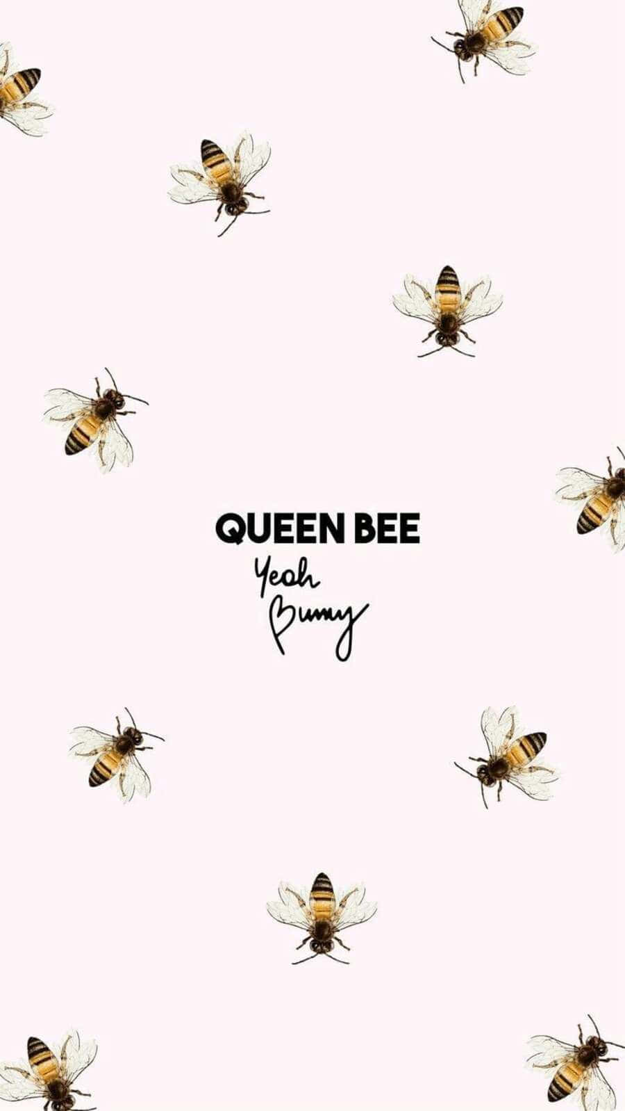 Aesthetic Bee, queen bee yeah bunny, soft pink background, HD Phone Wallpaper