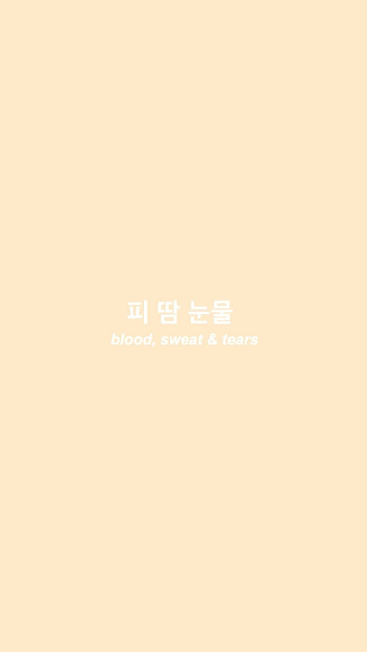 Bright Aesthetic Beige, Korean text, English translation, HD Phone Wallpaper