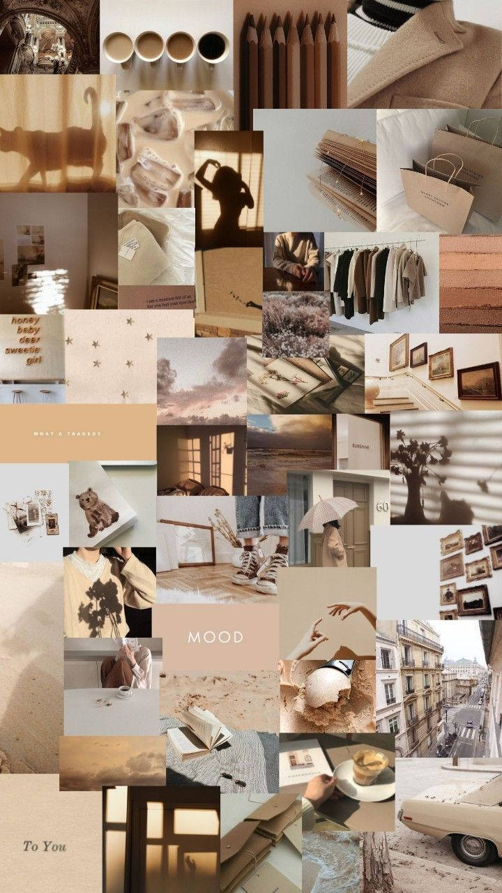 cool aesthetic beige, beige clothing, sunlit rooms, HD Phone Wallpaper