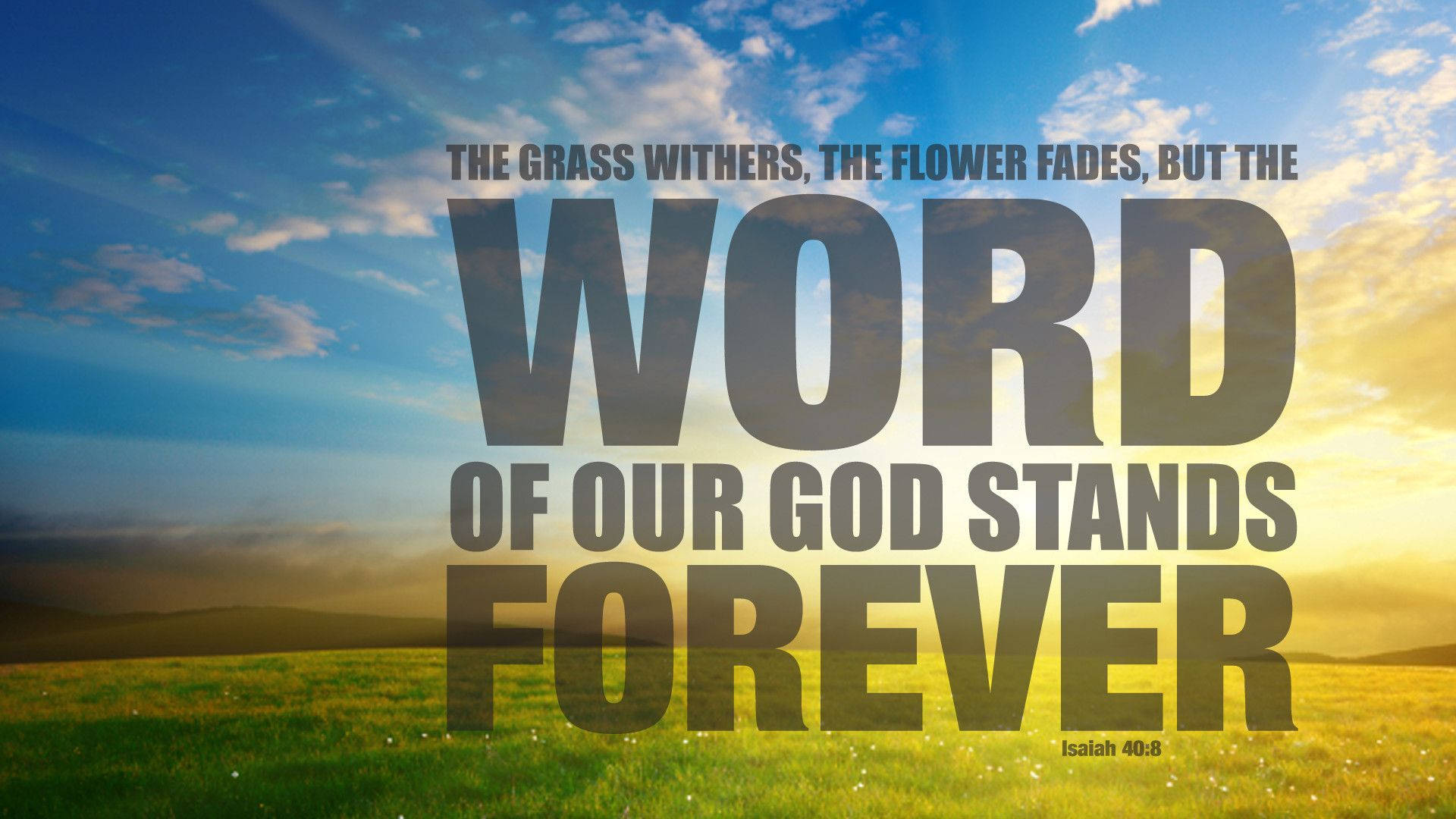 Isaiah 40:8, sunset, sunlit grassy field, Full HD Desktop Wallpaper