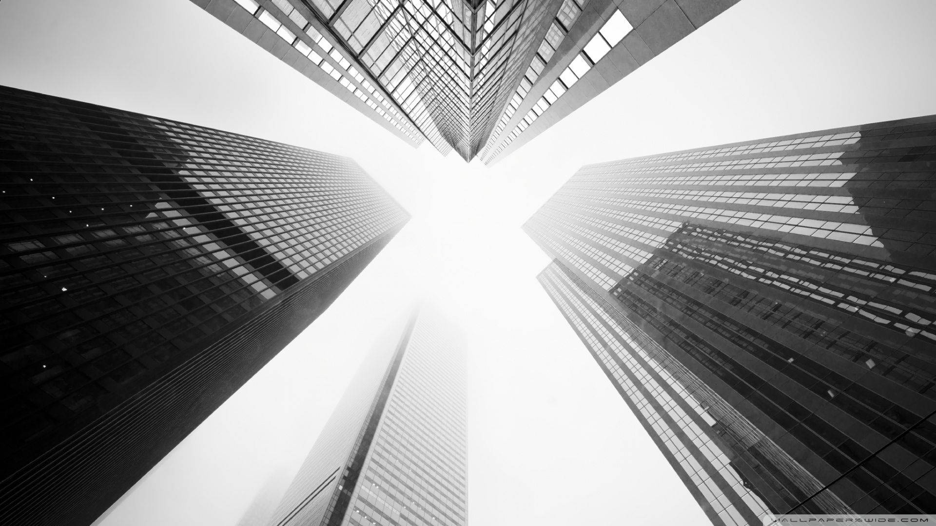 buildings, tall skyscrapers, low-angle shot, Full HD Desktop Wallpaper