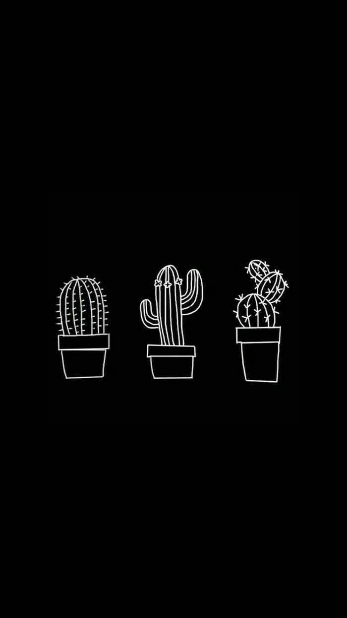 black and white aesthetic, three cacti, white line drawings, SD Phone Wallpaper