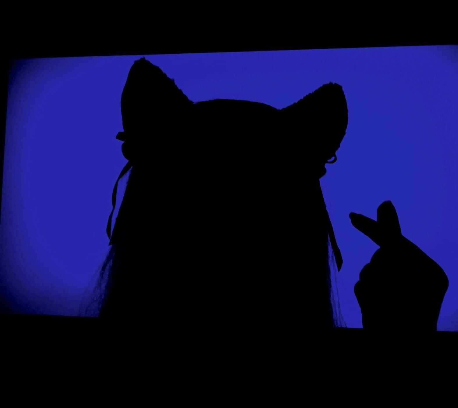 aesthetic blue grunge, glowing blue screen, cat ears, HD Desktop Wallpaper