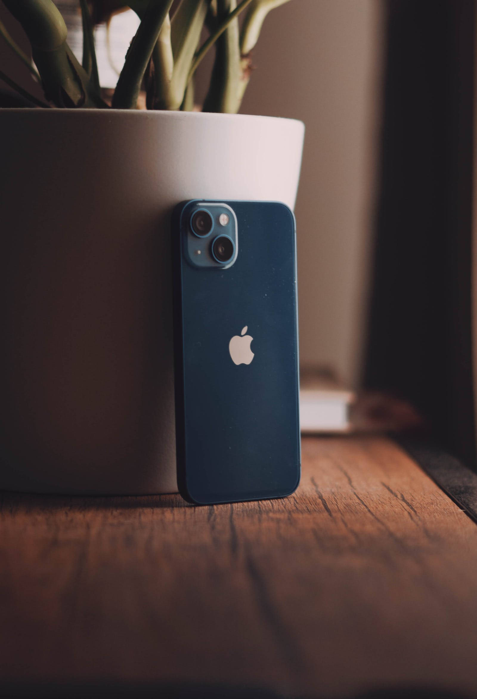 blue iPhone, white planter, green stems, Full HD Phone Wallpaper