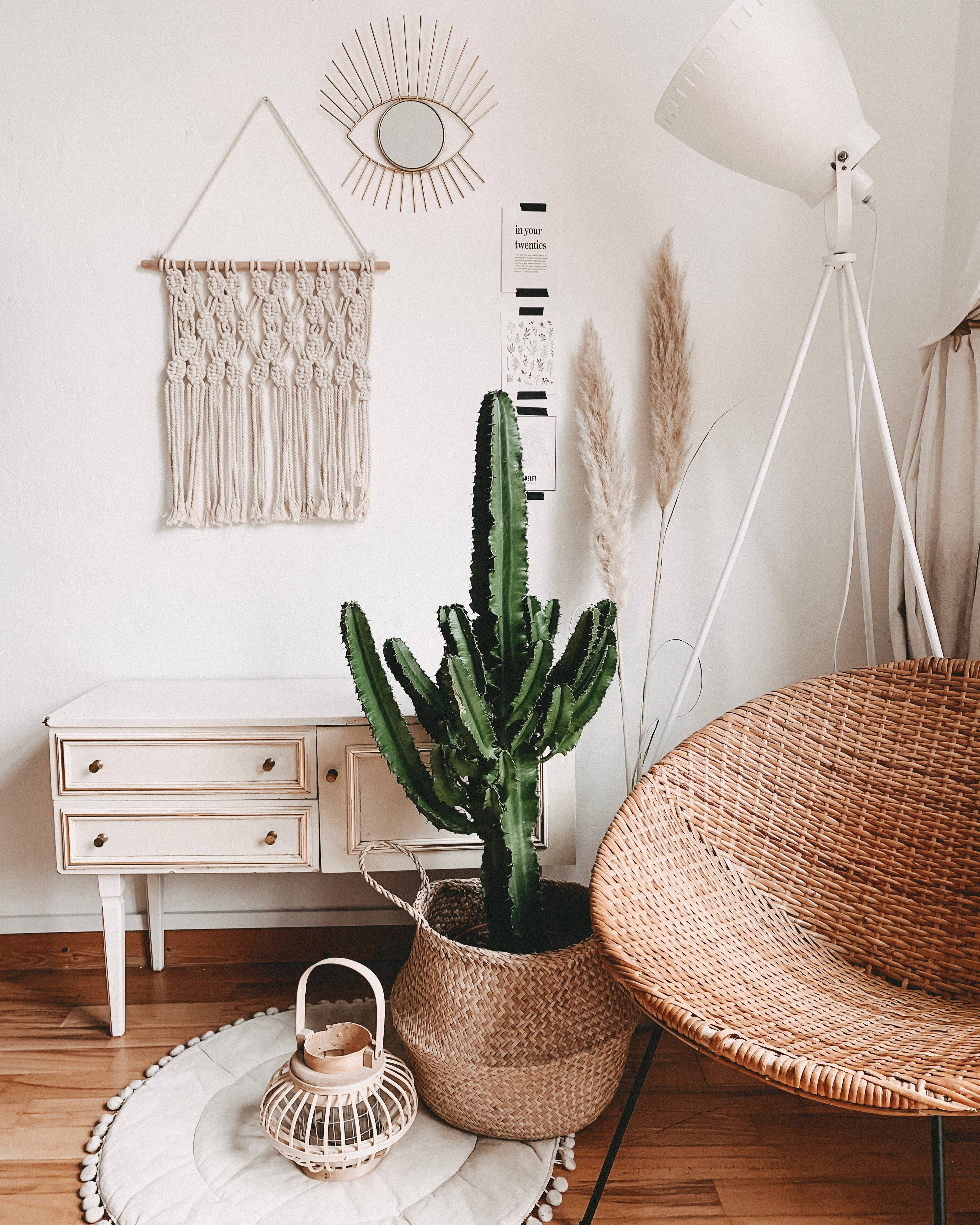 wicker chair, tall cactus, macrame wall hanging, 2K Phone Wallpaper