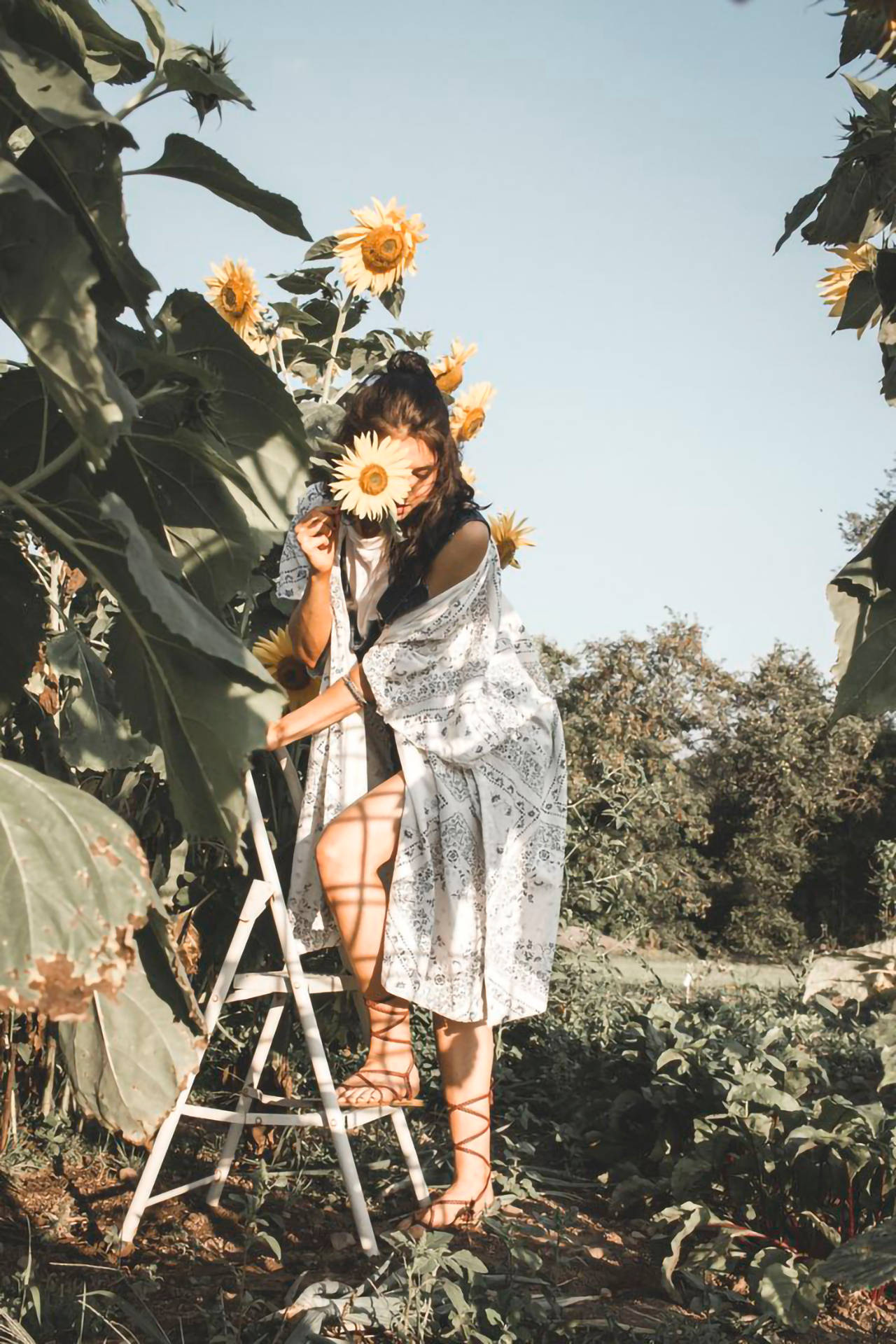 Aesthetic Boho, sunflowers, ladder, Full HD Phone Wallpaper