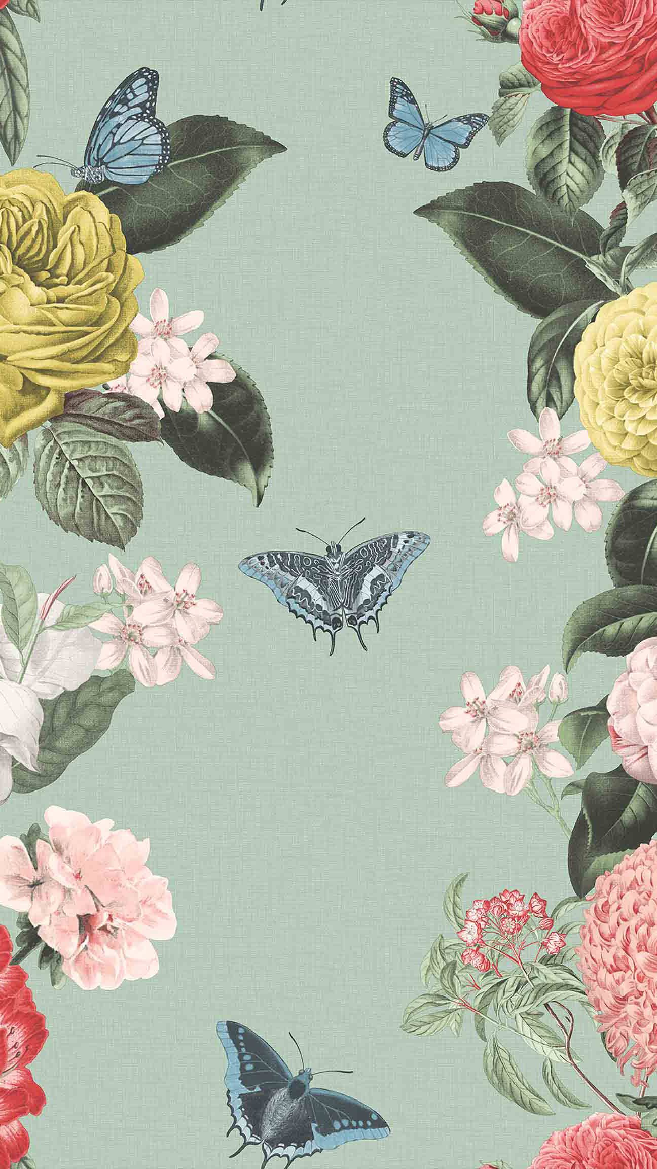 Aesthetic Boho, blue butterflies, vibrant roses, Full HD Phone Wallpaper