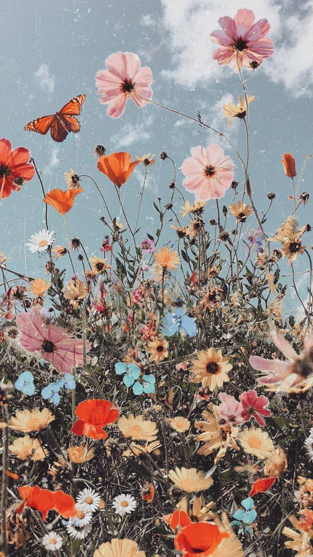 Aesthetic Boho, wildflowers, pink orange and white blooms, Full HD Phone Wallpaper