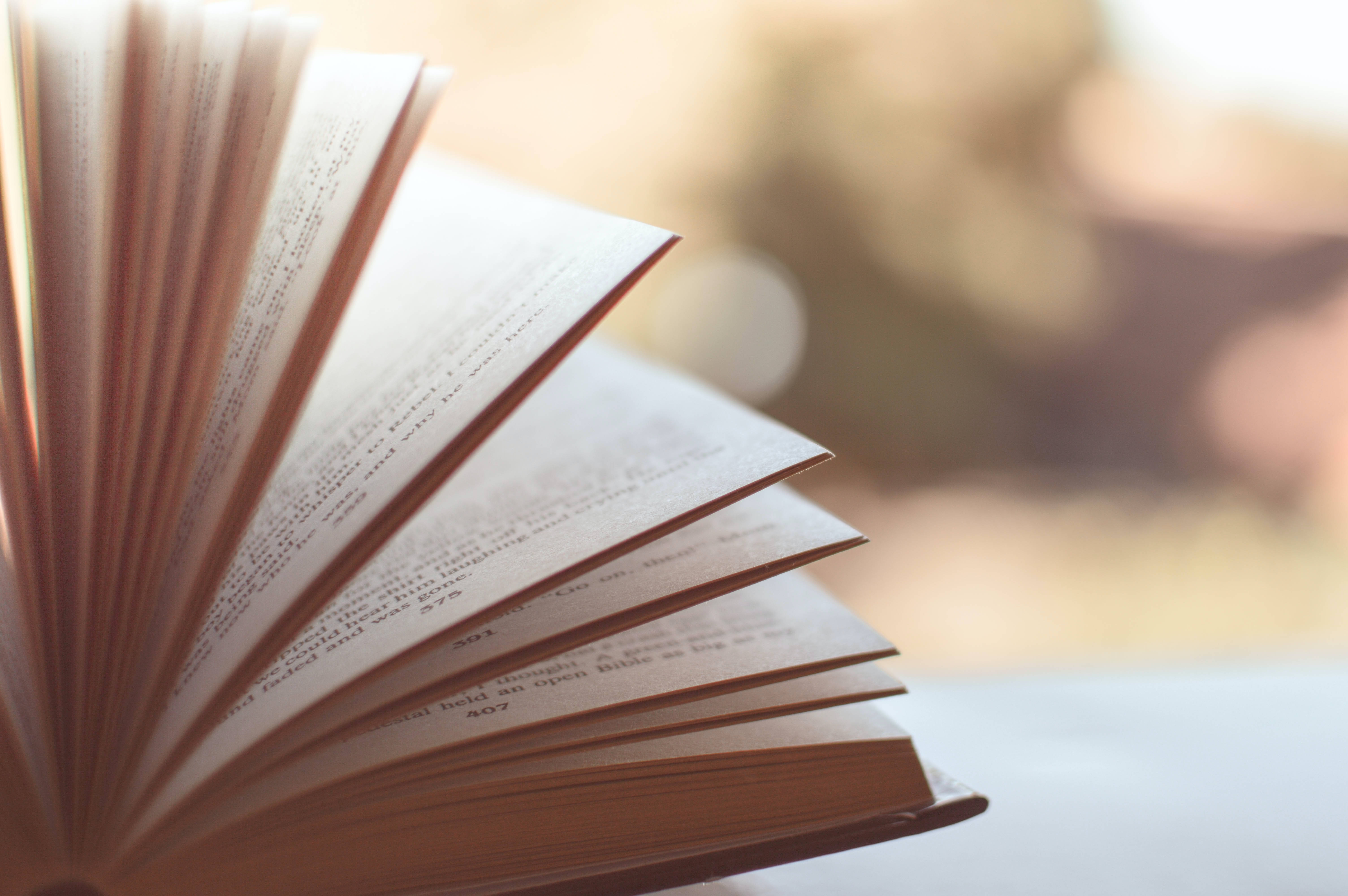 open book, pages fanned out, warm golden sunlight, 5K Desktop Wallpaper