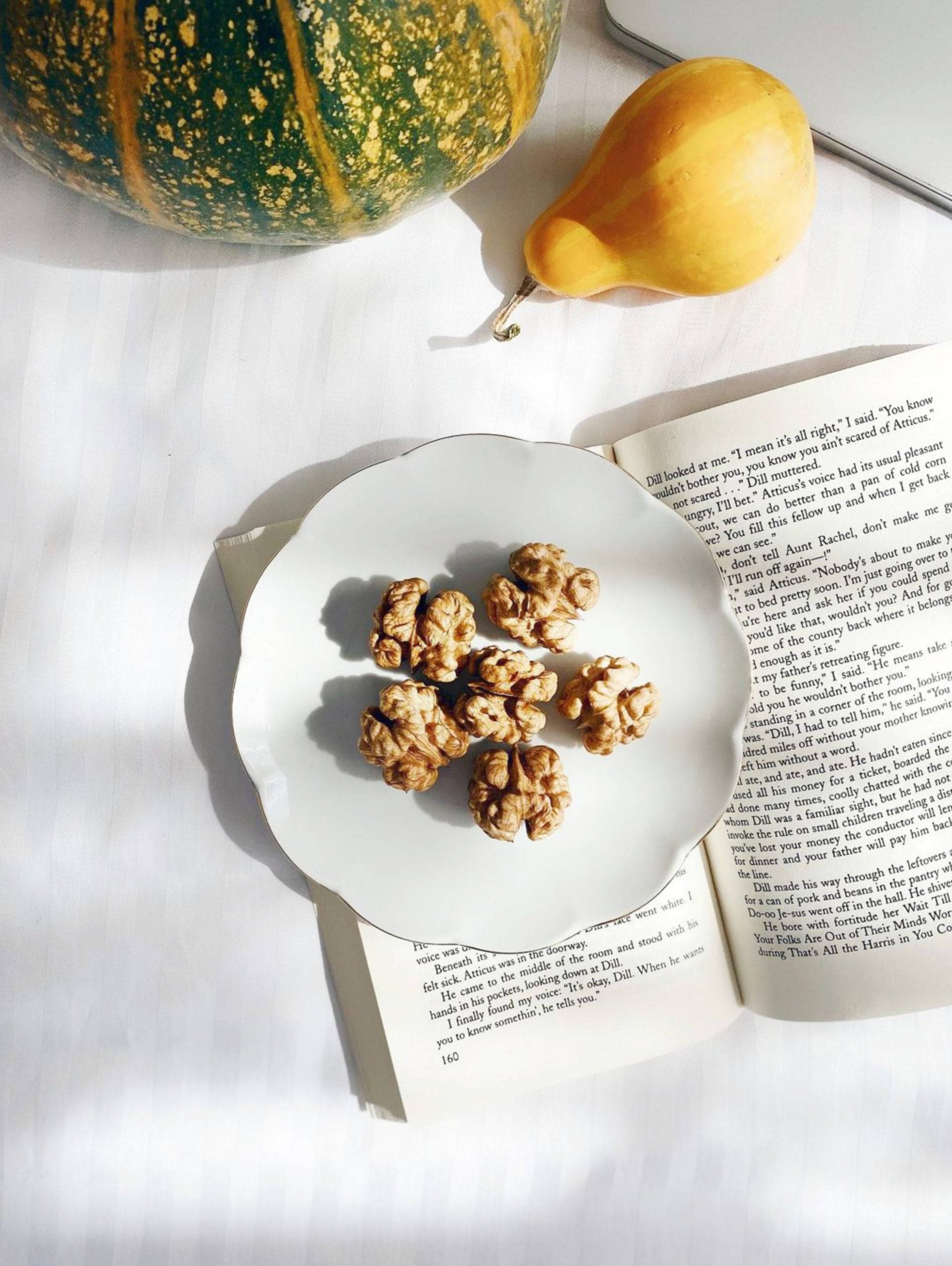 Nuts Aesthetic Book Desktop, walnuts, open book, Full HD Phone Wallpaper