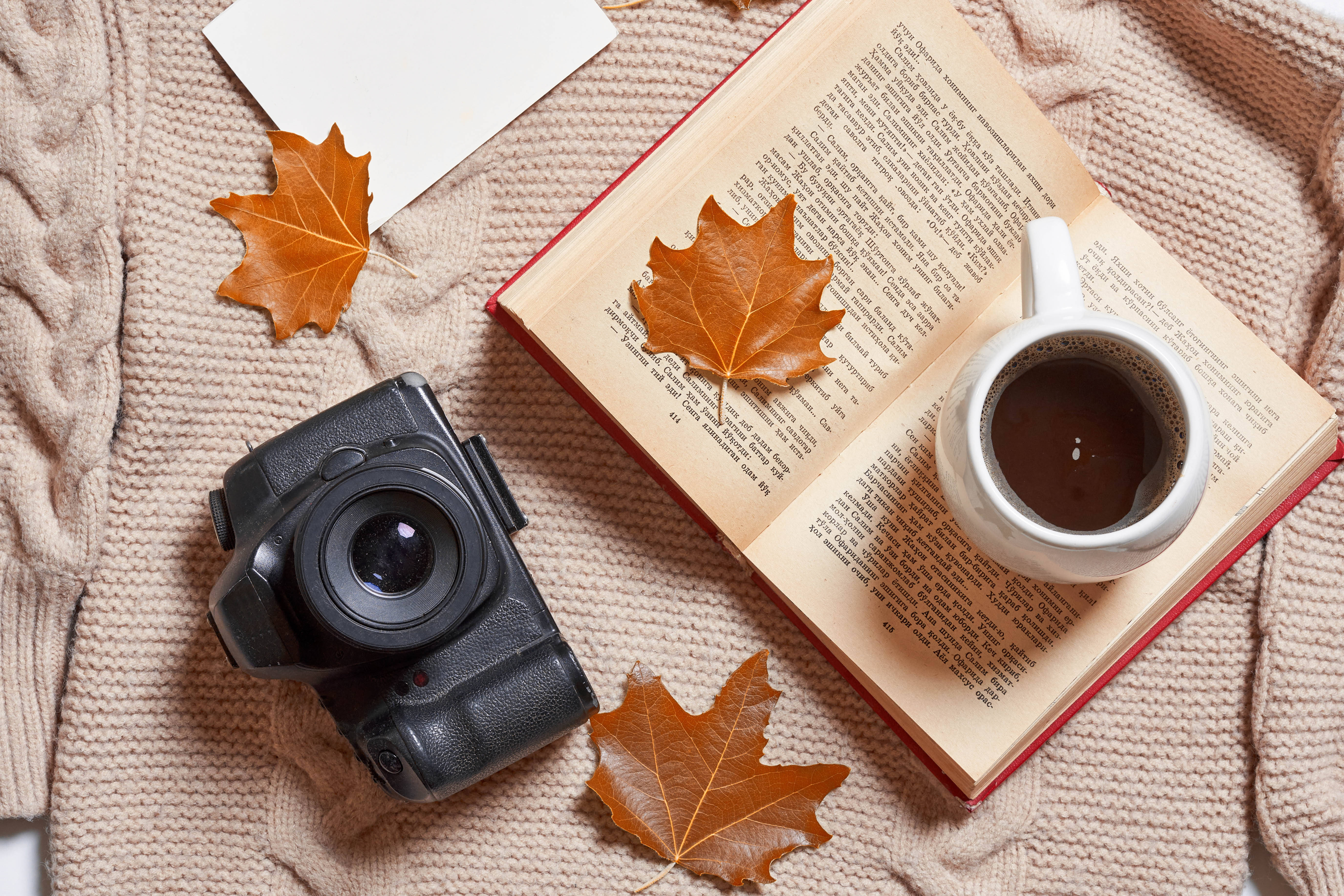 Maple Leaves, aesthetic book desktop, knitted sweater, 5K Desktop Wallpaper
