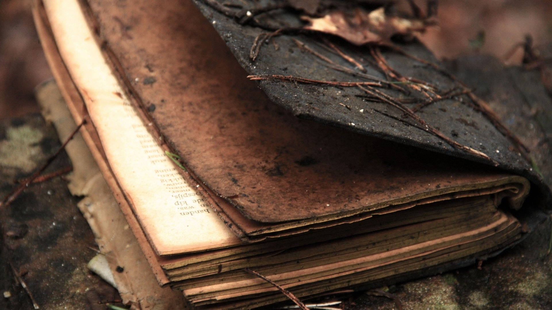 old brown aesthetic book desktop, ancient weathered book, forest, Full HD Desktop Wallpaper