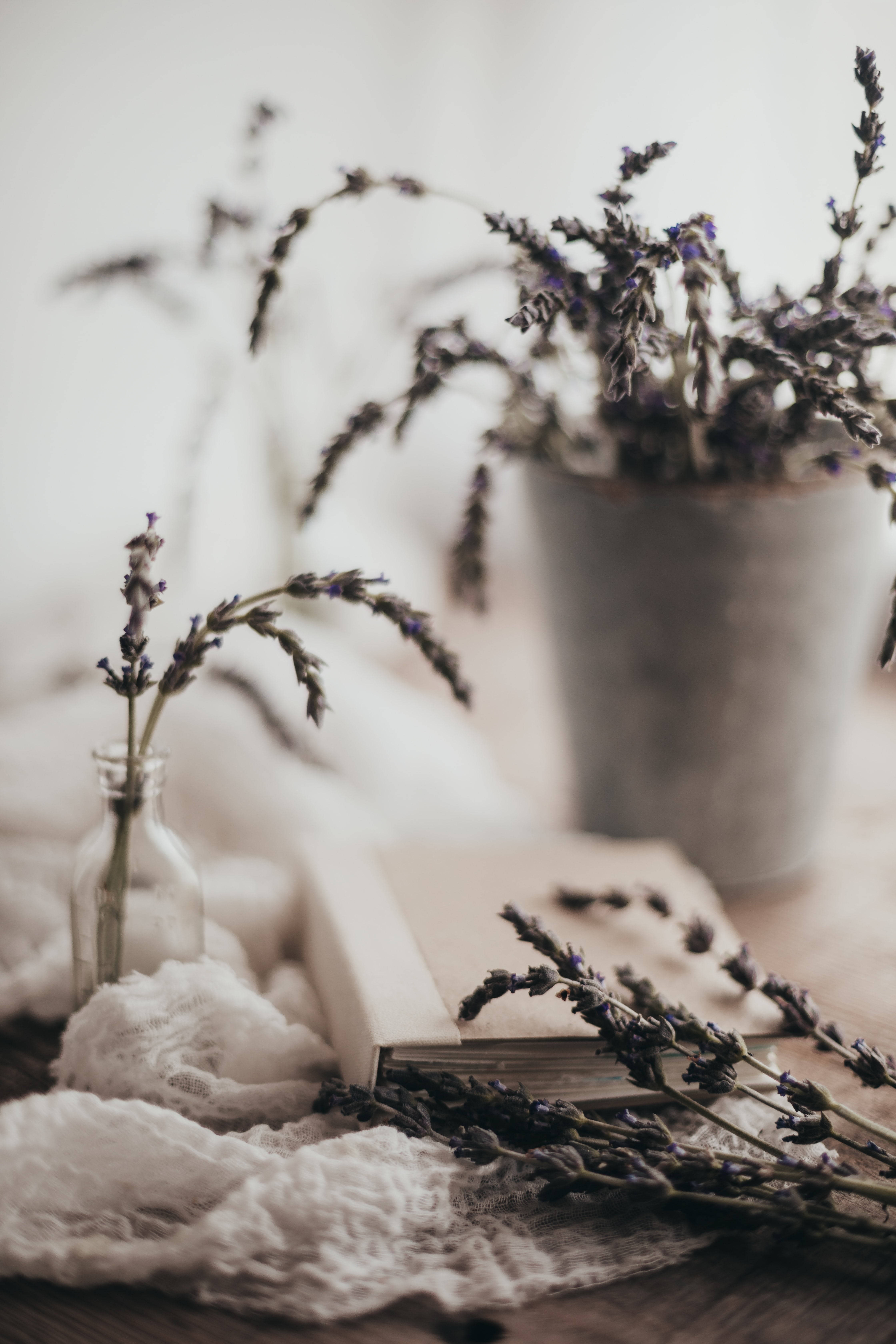 lavender, dried lavender sprigs, glass bottle, 5K Phone Wallpaper
