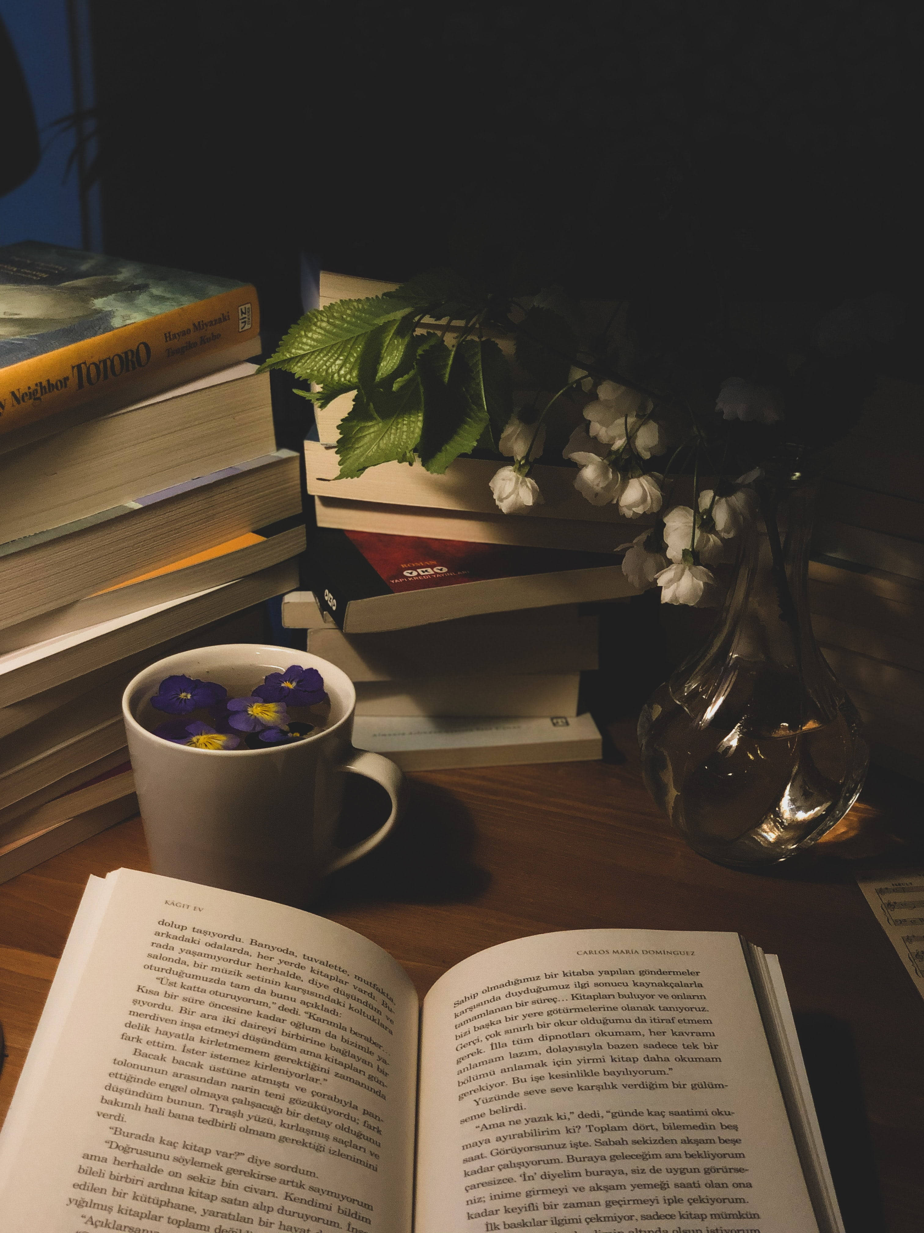 Aesthetic Book-fanatic's Dream Desk, cozy reading nook, open book, 4K Phone Wallpaper