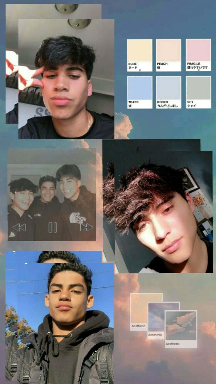 teenage boy aesthetic, pastel color swatches, Japanese text labels, HD Phone Wallpaper