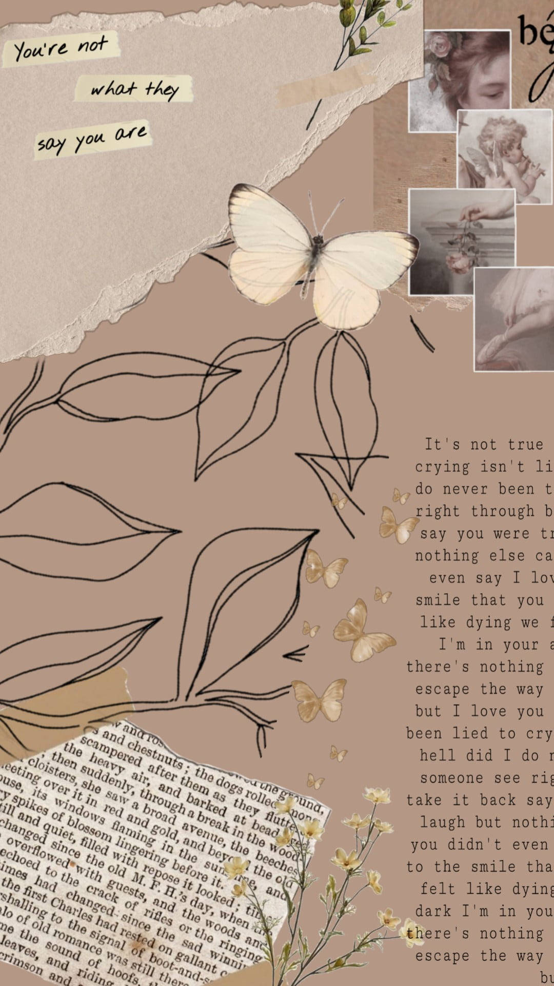 Aesthetic Brown, book, butterfly, Full HD Phone Wallpaper