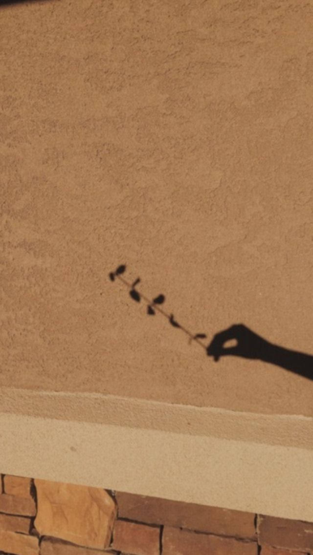 Aesthetic Brown, leaf shadow art, flower stem, SD Phone Wallpaper