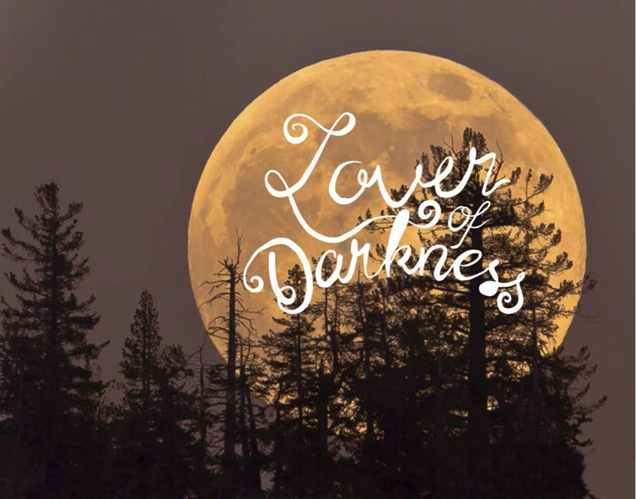golden full moon, silhouetted pine trees, white cursive text, SD Desktop Wallpaper
