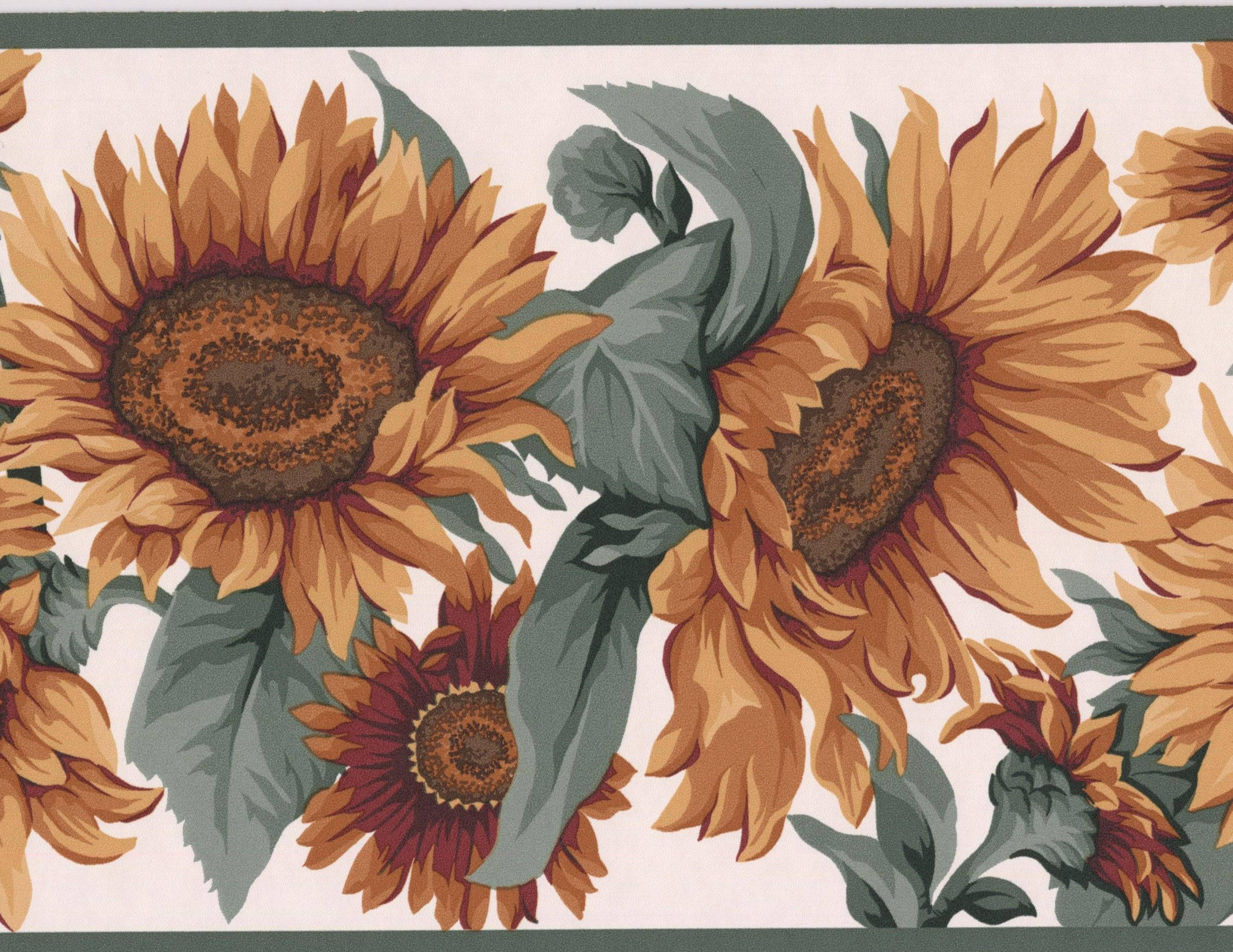 sunflower, cream background, green borders, 2K Desktop Wallpaper