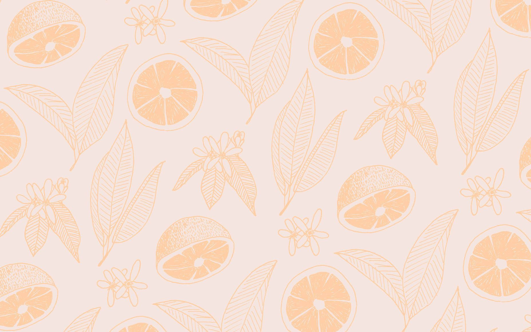 brown aesthetic, lemon, leaves, HD Desktop Wallpaper