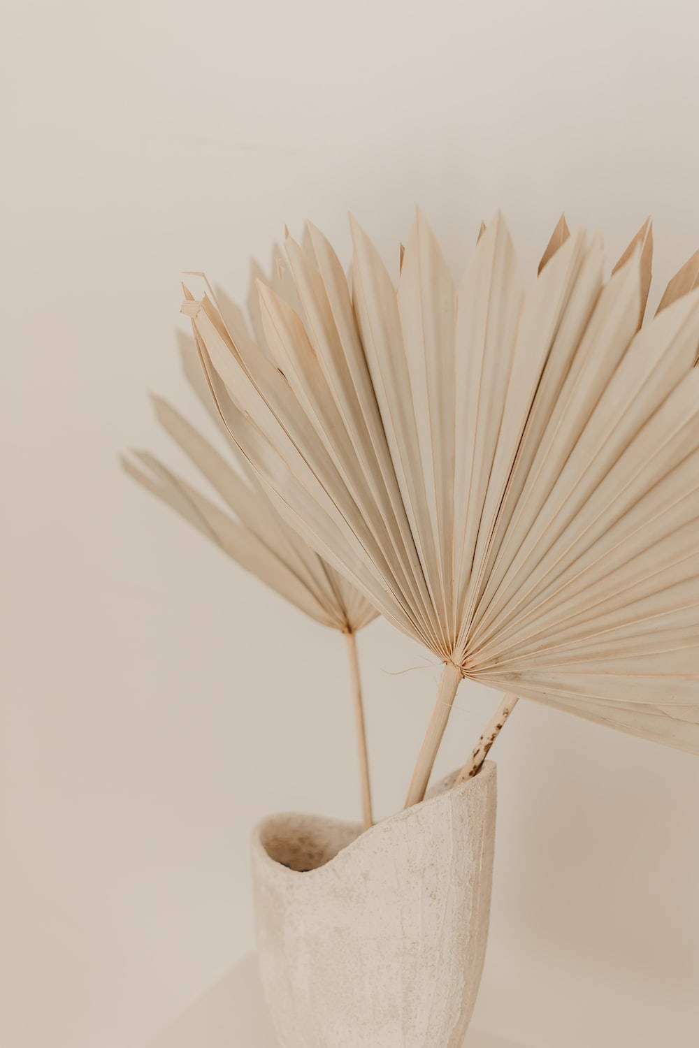 aesthetic brown, dried palm fronds, textured beige vase, HD Phone Wallpaper