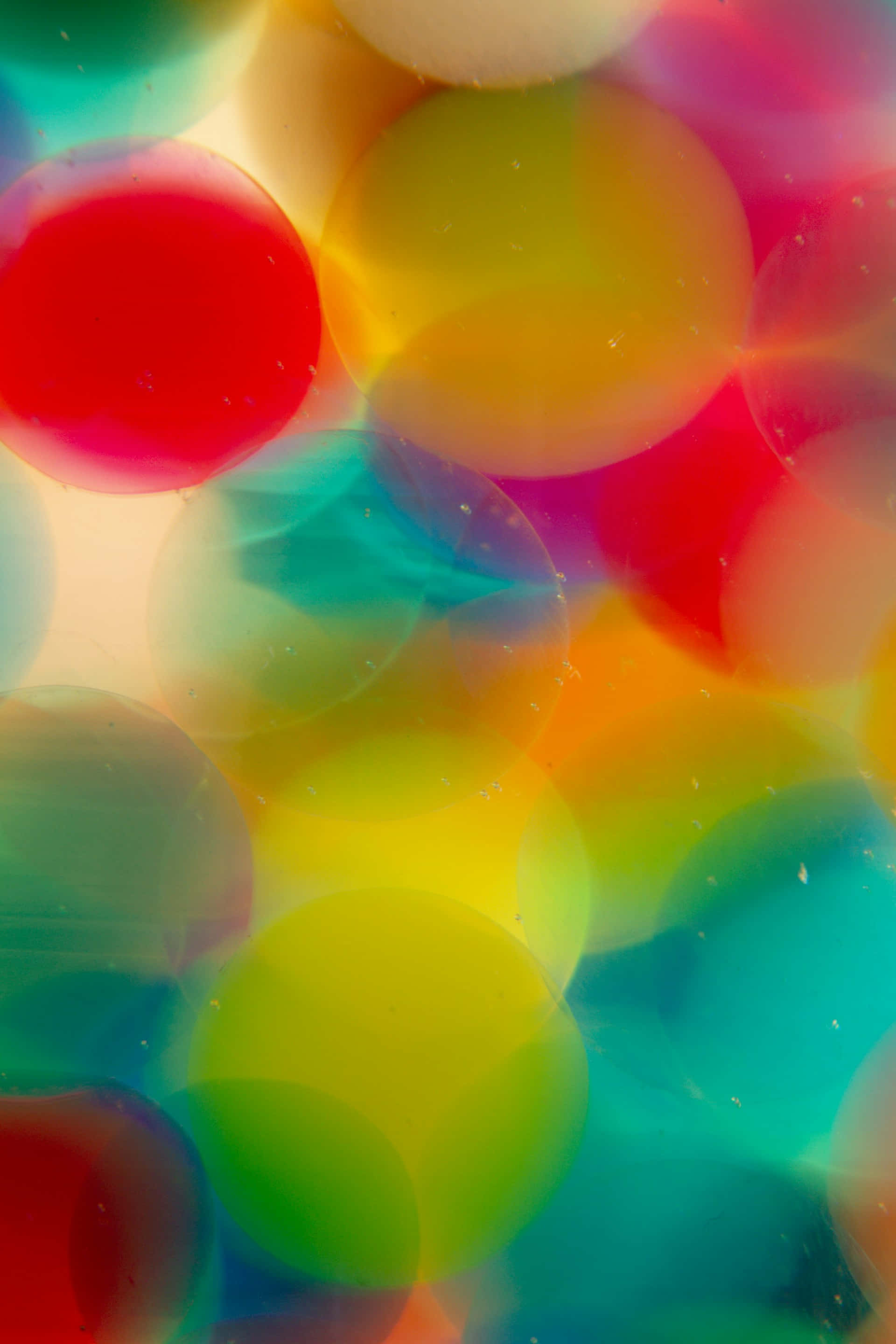 abstract colorful bubbles backdrop, red, yellow, 2K Phone Wallpaper