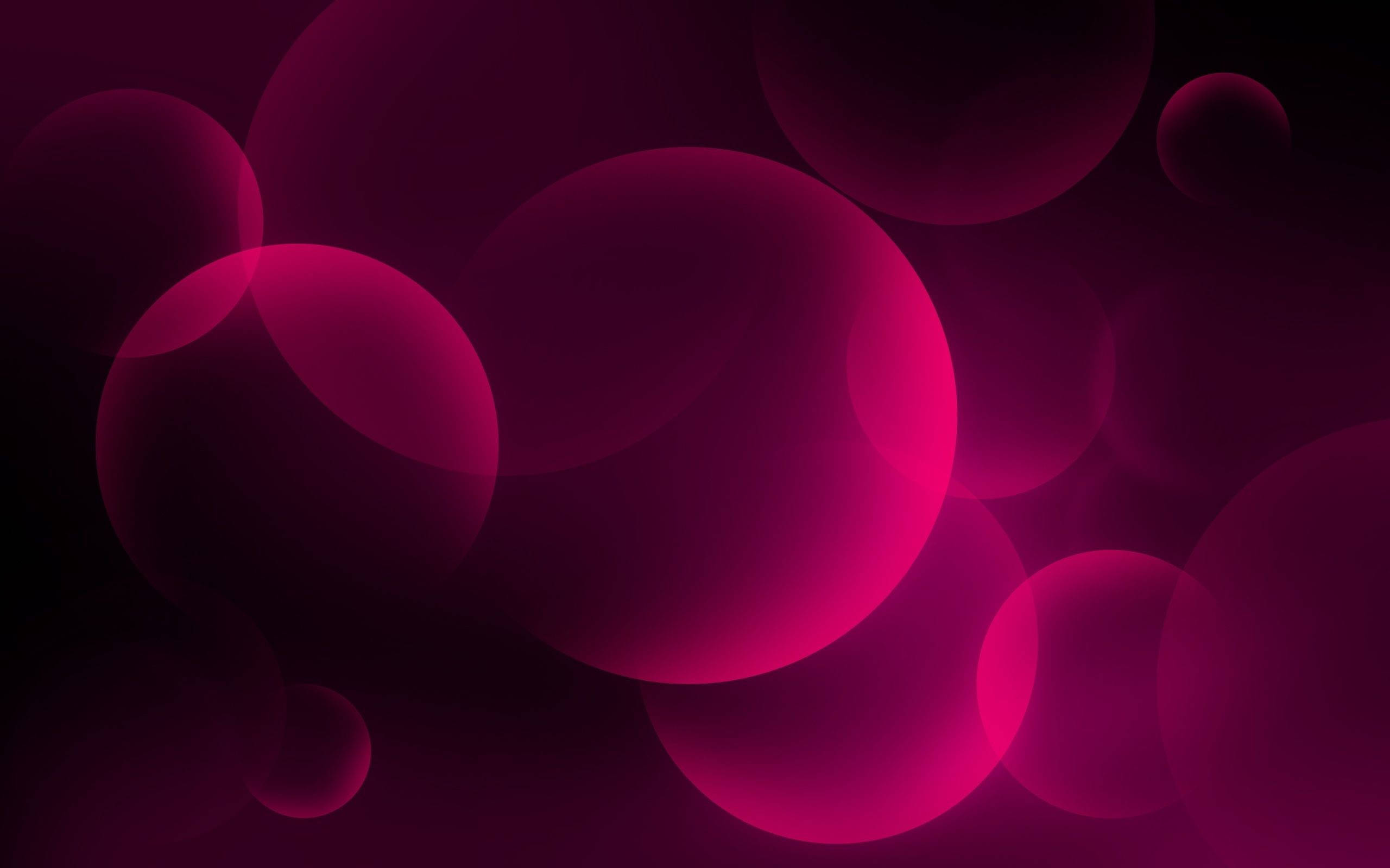 black, pink, glowing bubbles, 2K Desktop Wallpaper