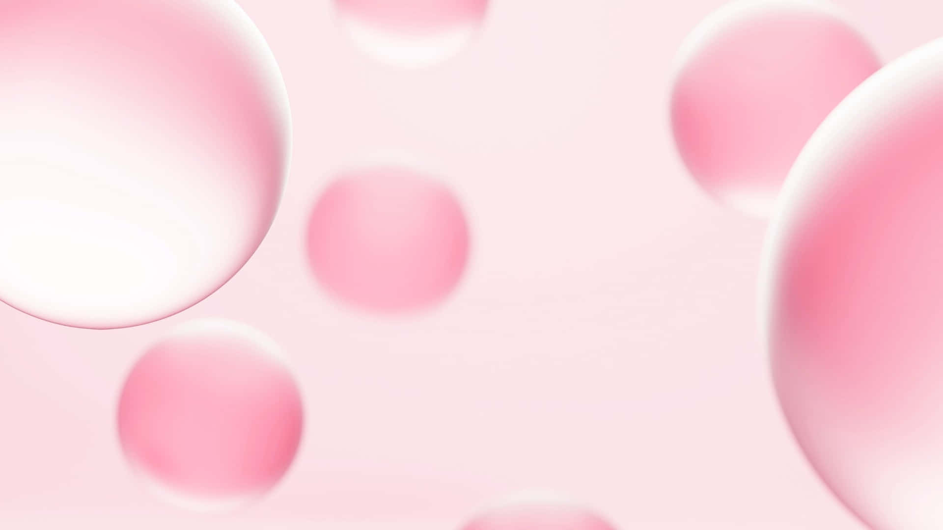 pink bubble backdrop, soft pink translucent spheres, pastel pink gradient background, Full HD Desktop Wallpaper