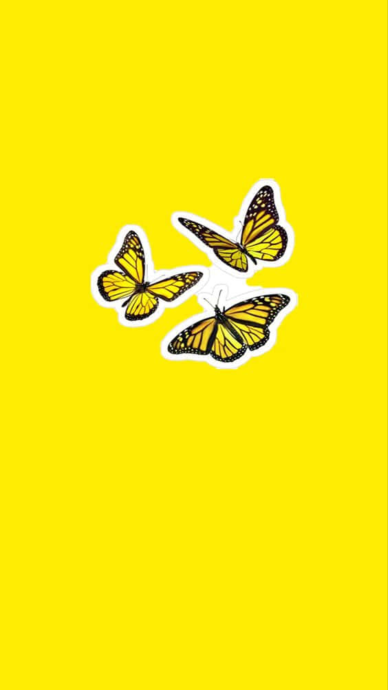 monarch butterflies, white outlines, bright yellow background, SD Phone Wallpaper