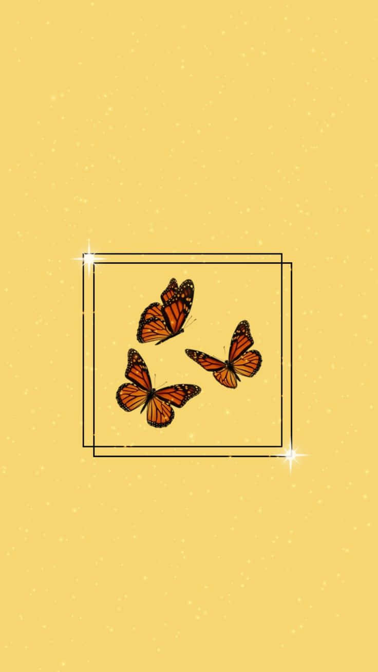 monarch butterflies, glowing square frame, soft yellow speckled background, HD Phone Wallpaper