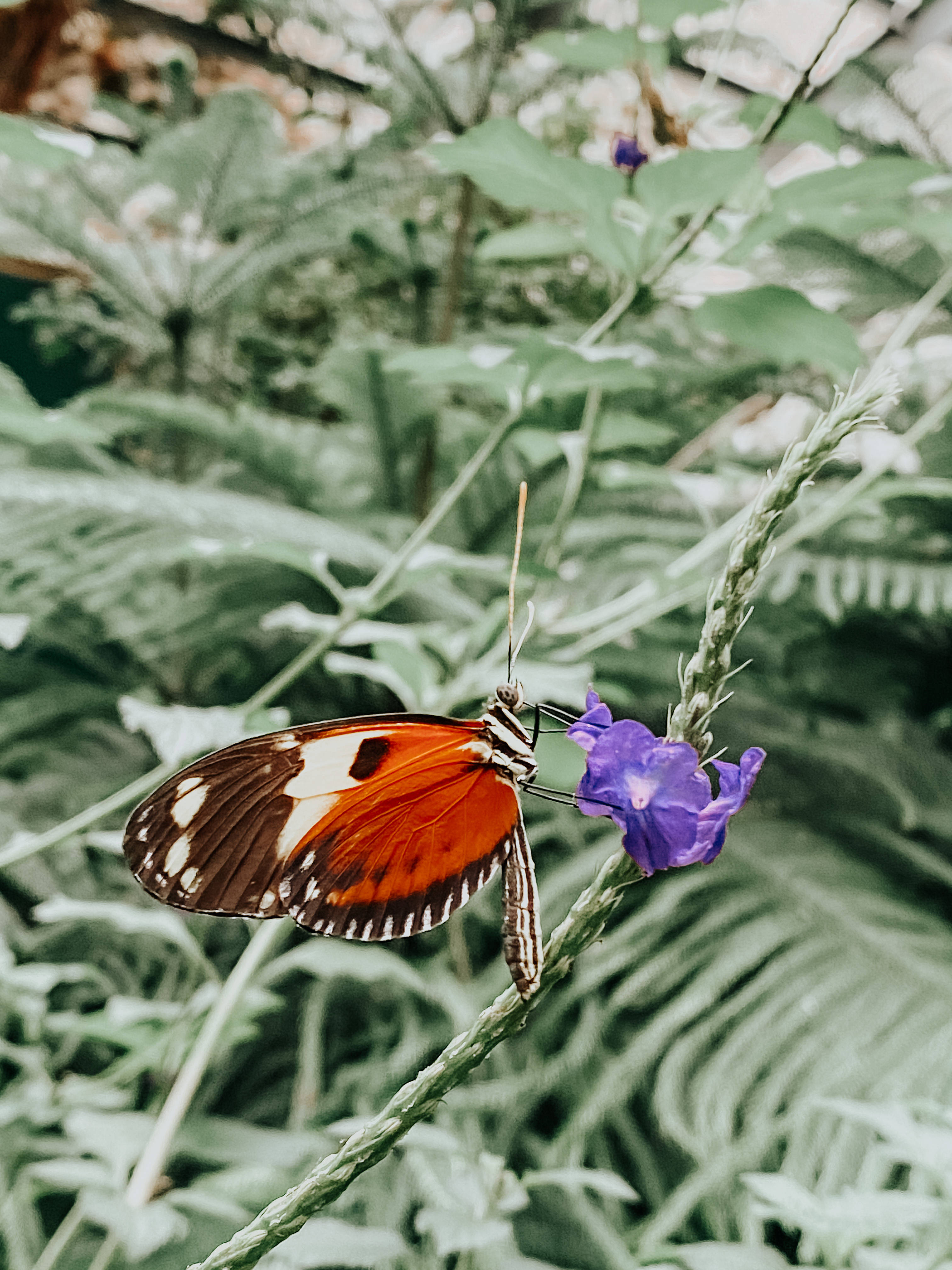 mosaic pattern, orange and black butterfly, purple flower, 4K Phone Wallpaper