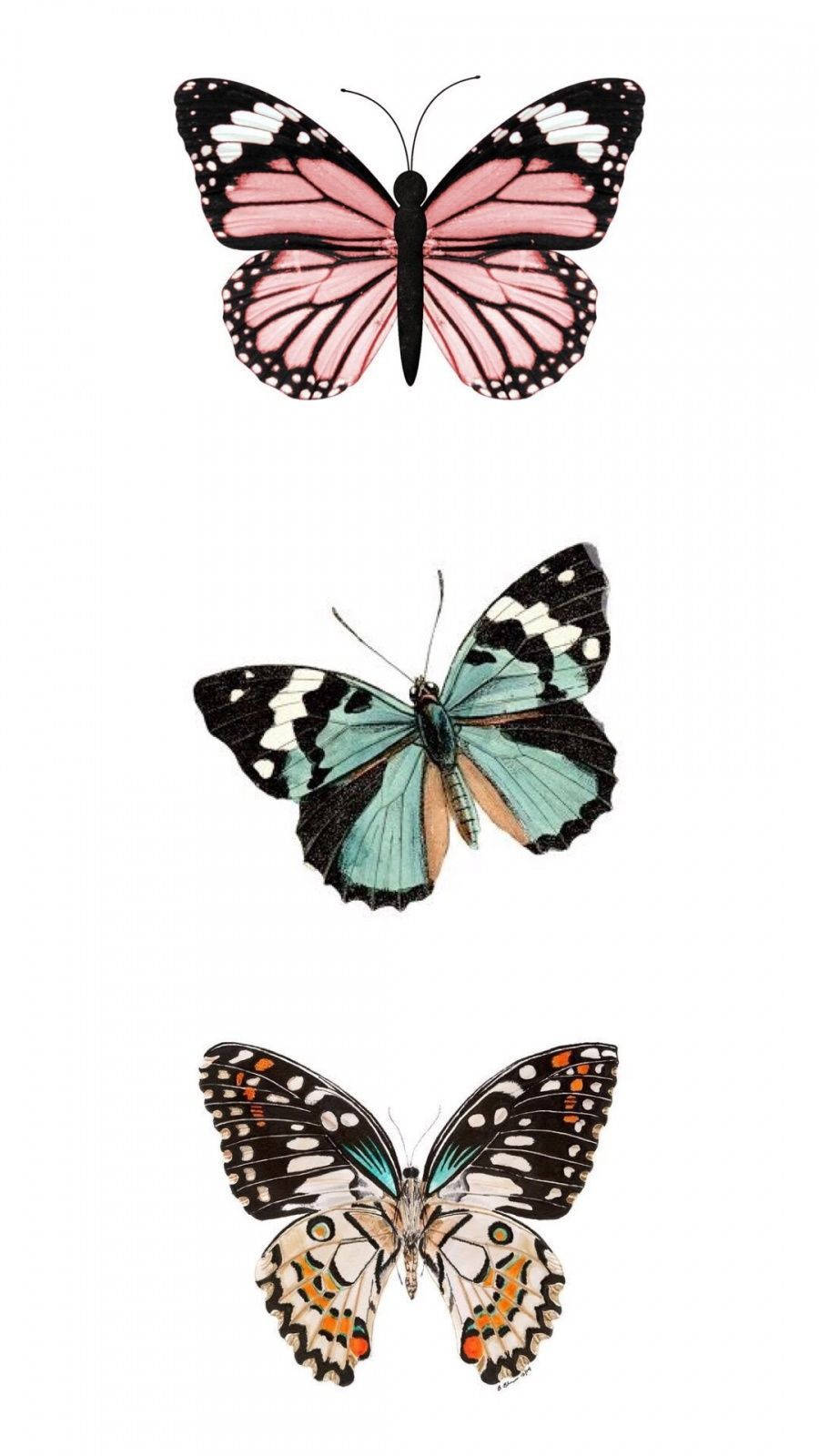 Lovely Butterfly Aesthetic, pink, black, HD Phone Wallpaper