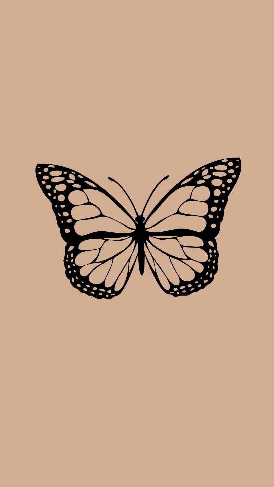 beige butterfly, minimalist black outline, butterfly wing patterns, Full HD Phone Wallpaper