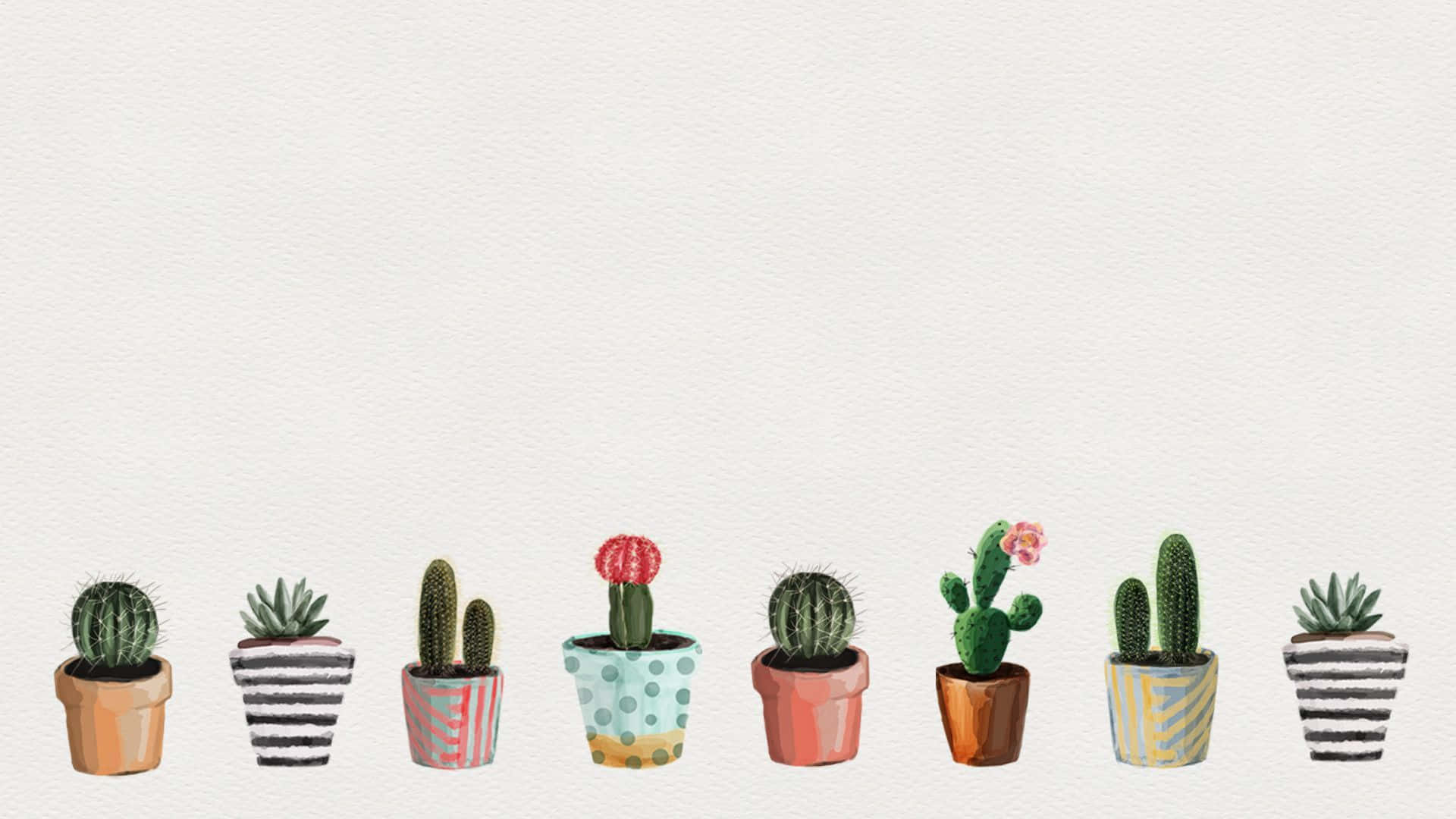 Aesthetic Cactus, potted cacti, succulents, Full HD Desktop Wallpaper