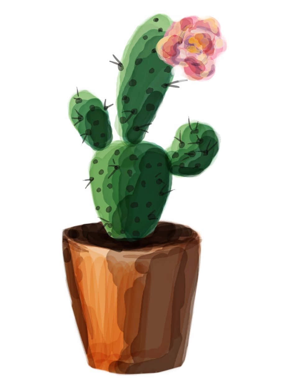 Aesthetic Cactus, potted cactus, vibrant pink flower, SD Phone Wallpaper