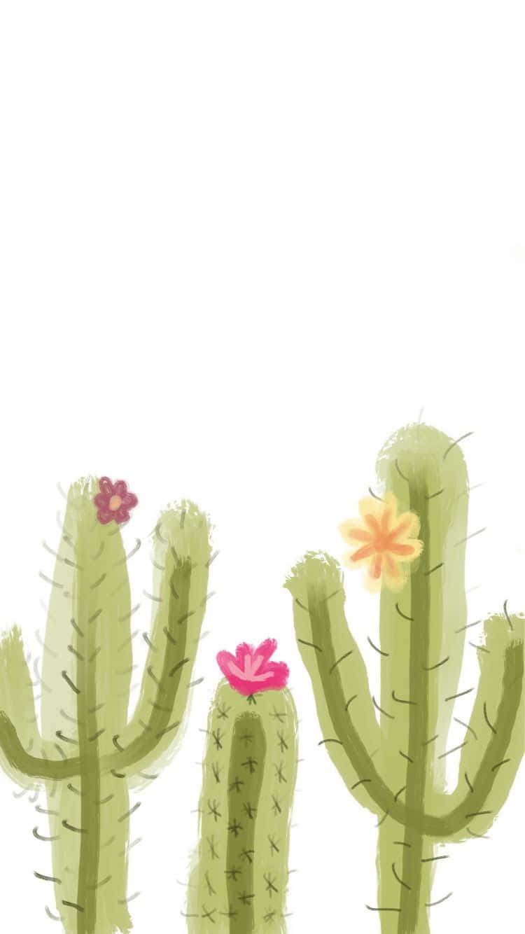 aesthetic cactus, green cacti, pink flowers, HD Phone Wallpaper