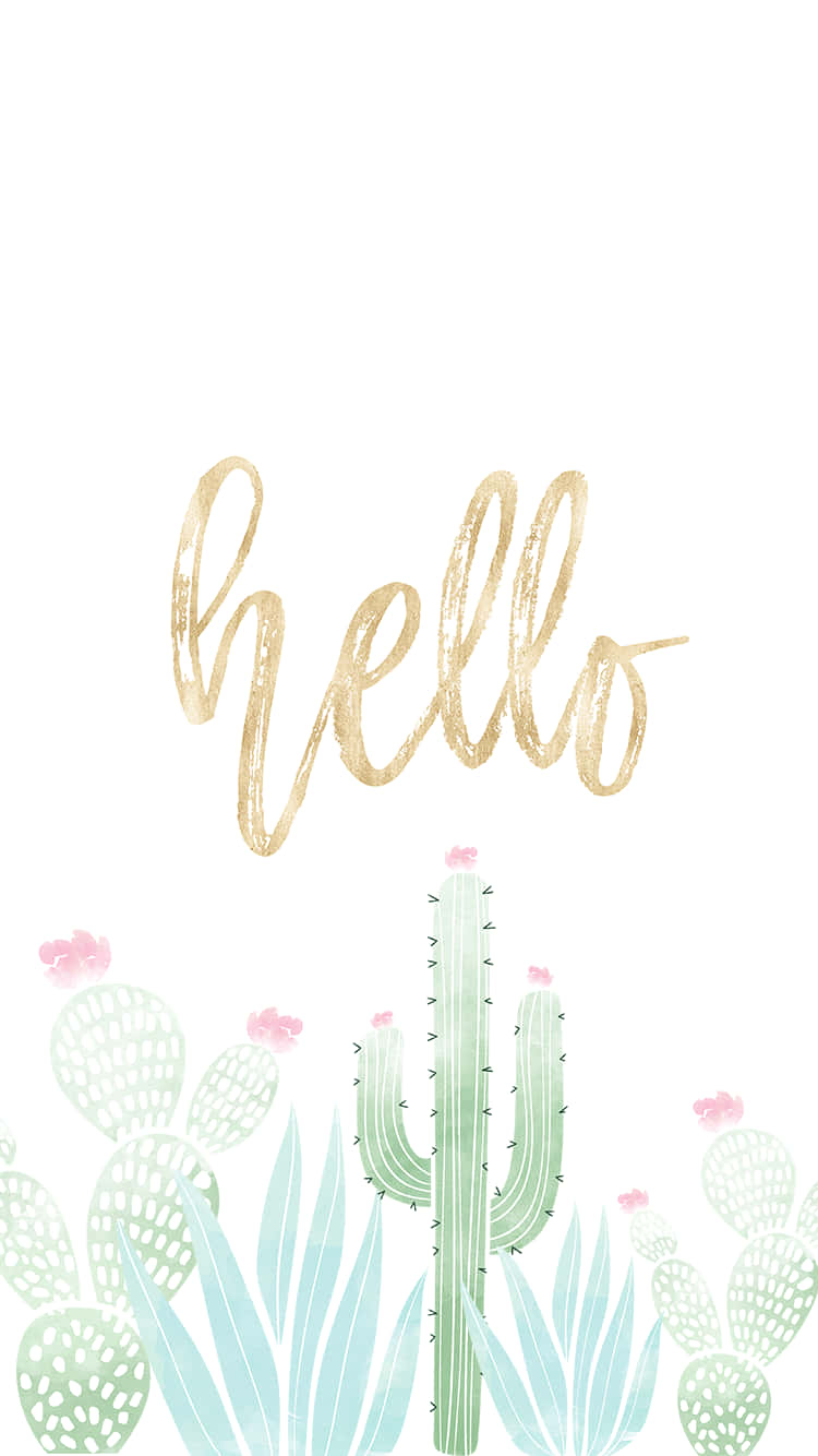 Aesthetic Cactus, green cacti, pink flowers, HD Phone Wallpaper