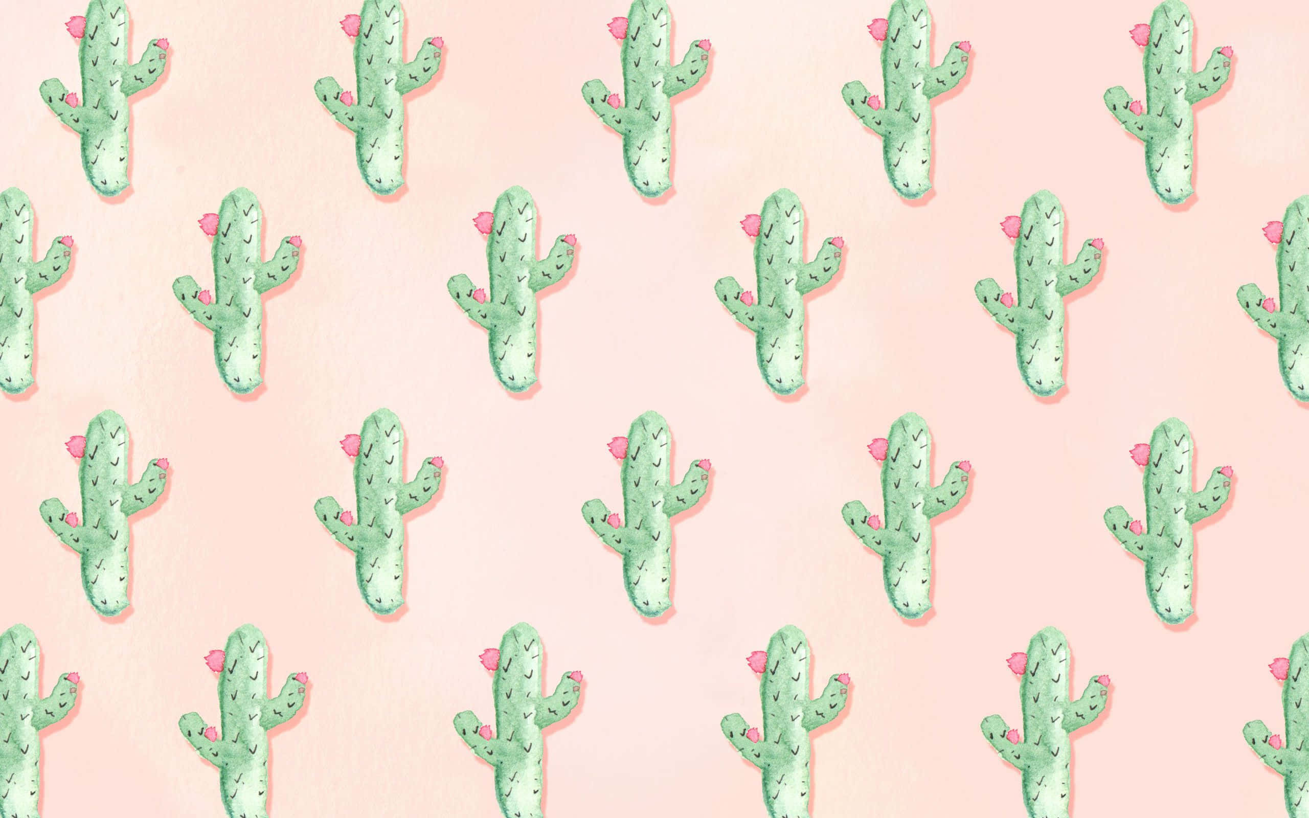 Aesthetic Cactus, pastel pink, green cacti, 2K Desktop Wallpaper