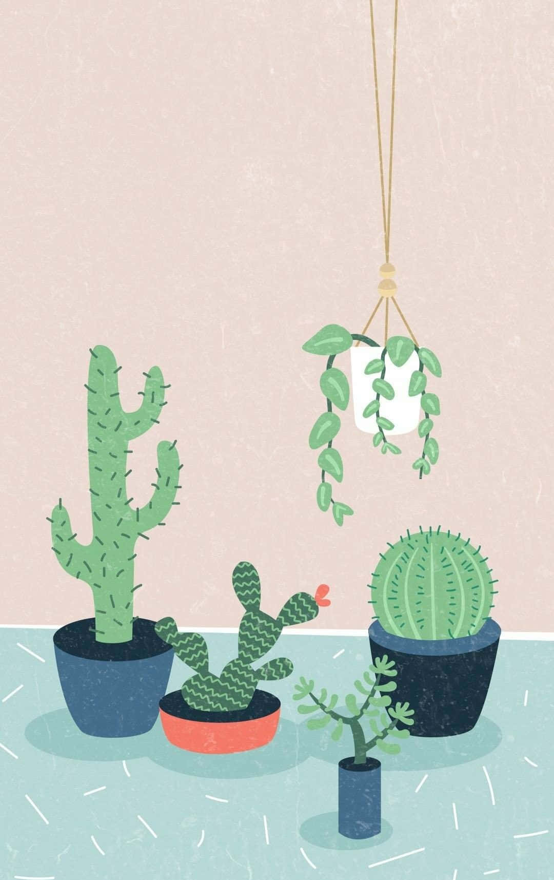 Aesthetic Cactus, cacti, hanging vines, HD Phone Wallpaper
