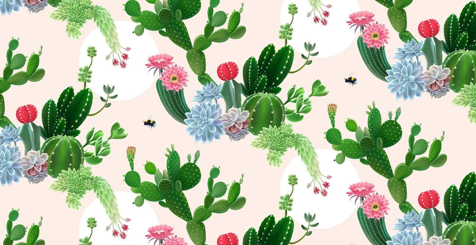 Aesthetic Cactus, pink, blue, HD Desktop Wallpaper