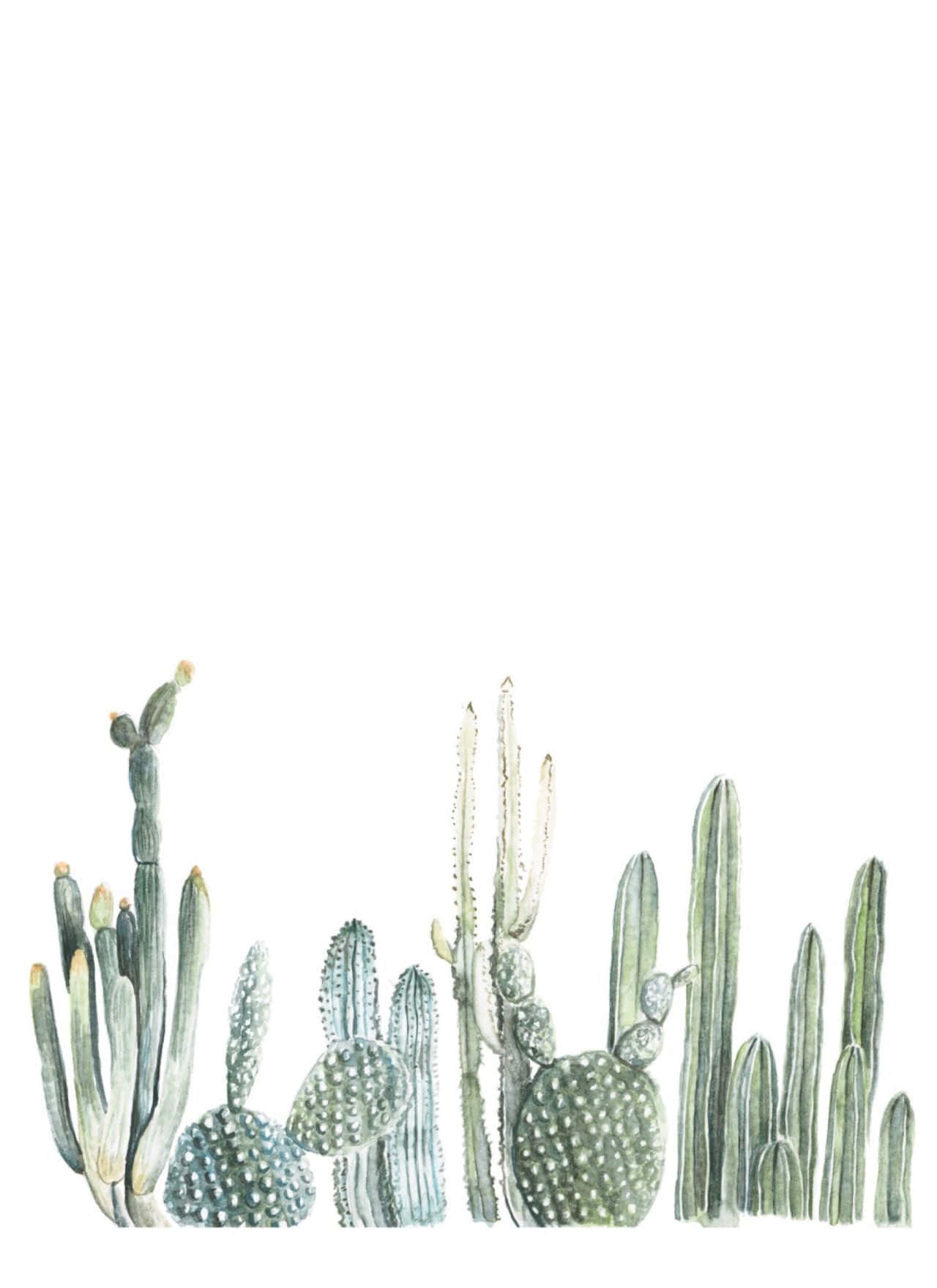 Aesthetic Cactus, watercolor illustration, green cacti, HD Phone Wallpaper
