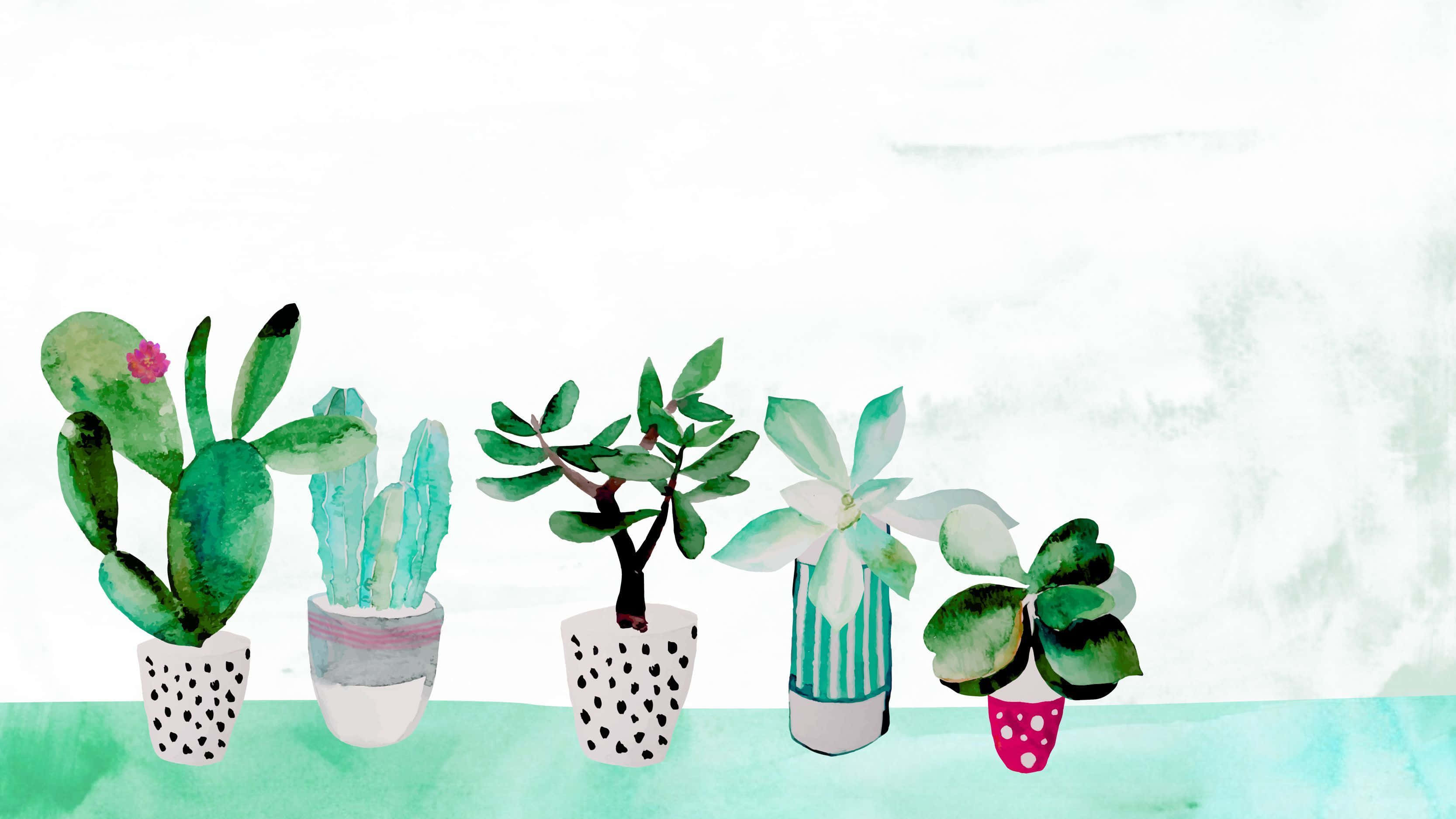 Aesthetic Cactus, watercolor, potted plants, 2K Desktop Wallpaper